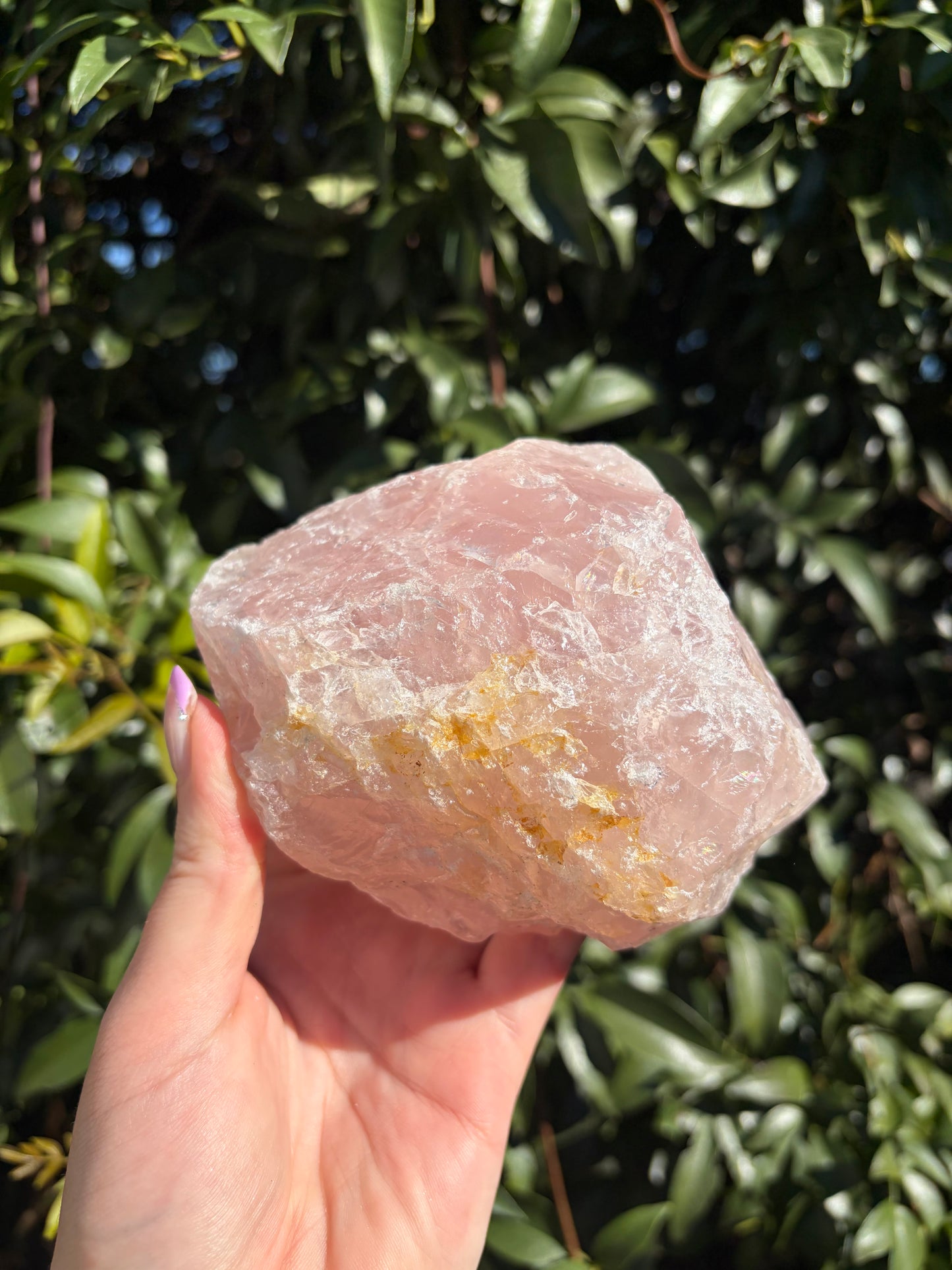 Rose Quartz Large Rough Piece C