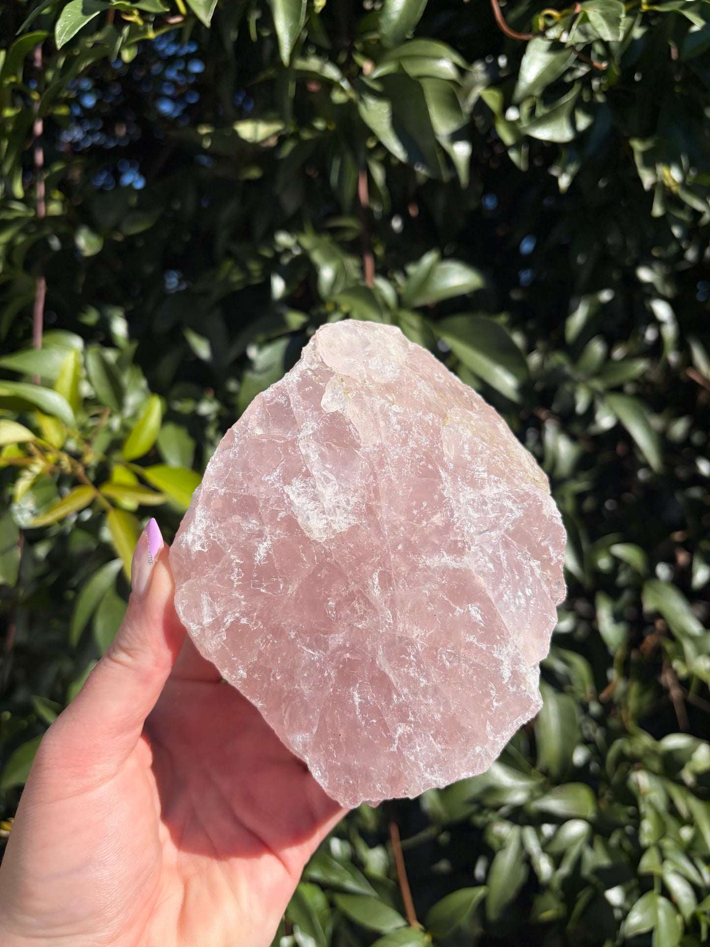 Rose Quartz Large Rough Piece C