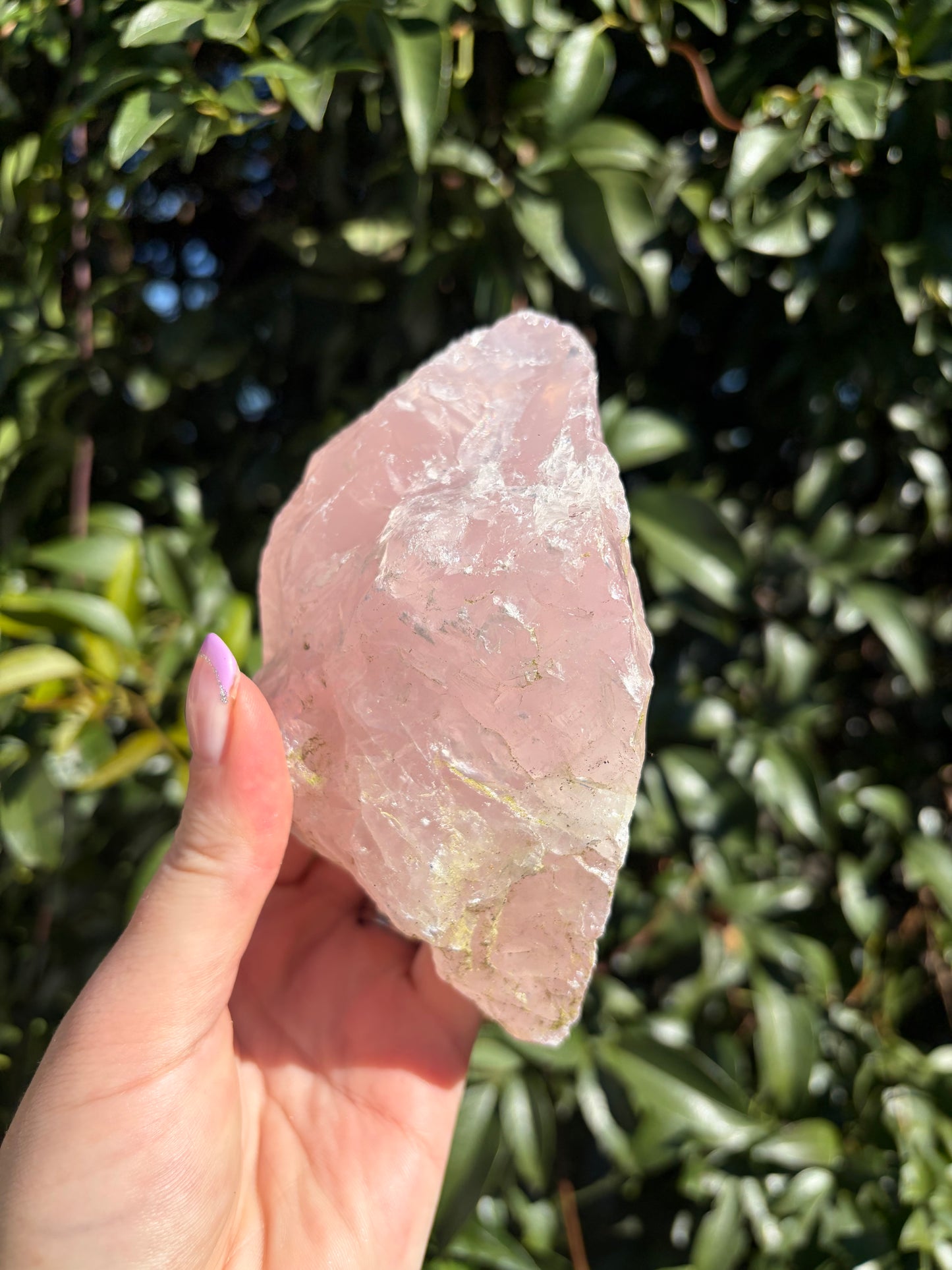 Rose Quartz Large Rough Piece D