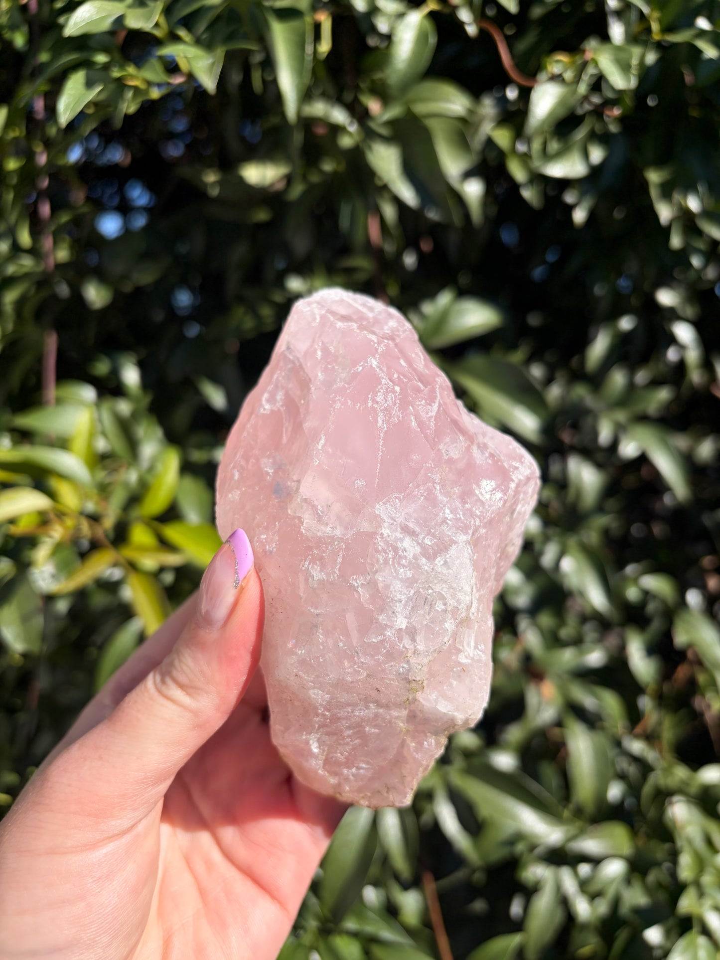 Rose Quartz Large Rough Piece D