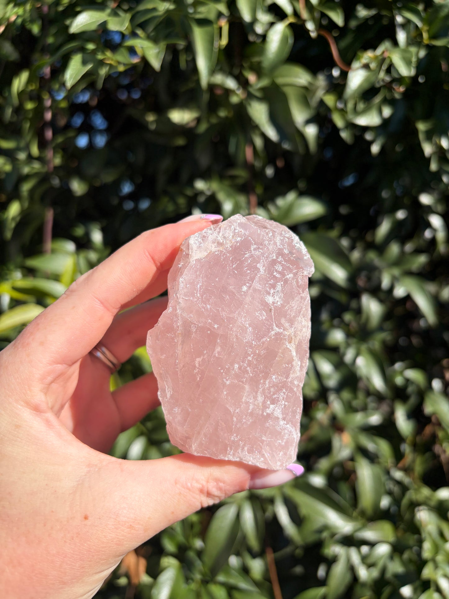 Rose Quartz Large Rough Piece E