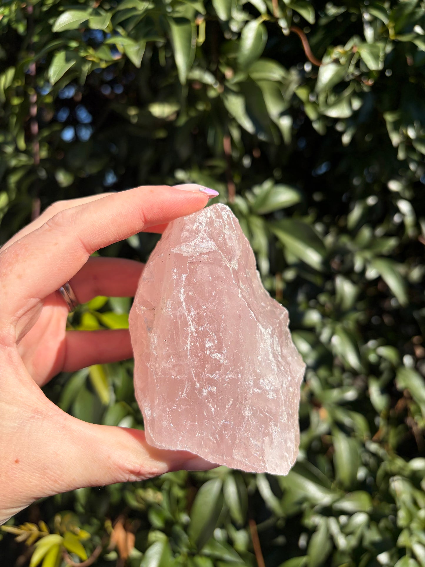 Rose Quartz Large Rough Piece E