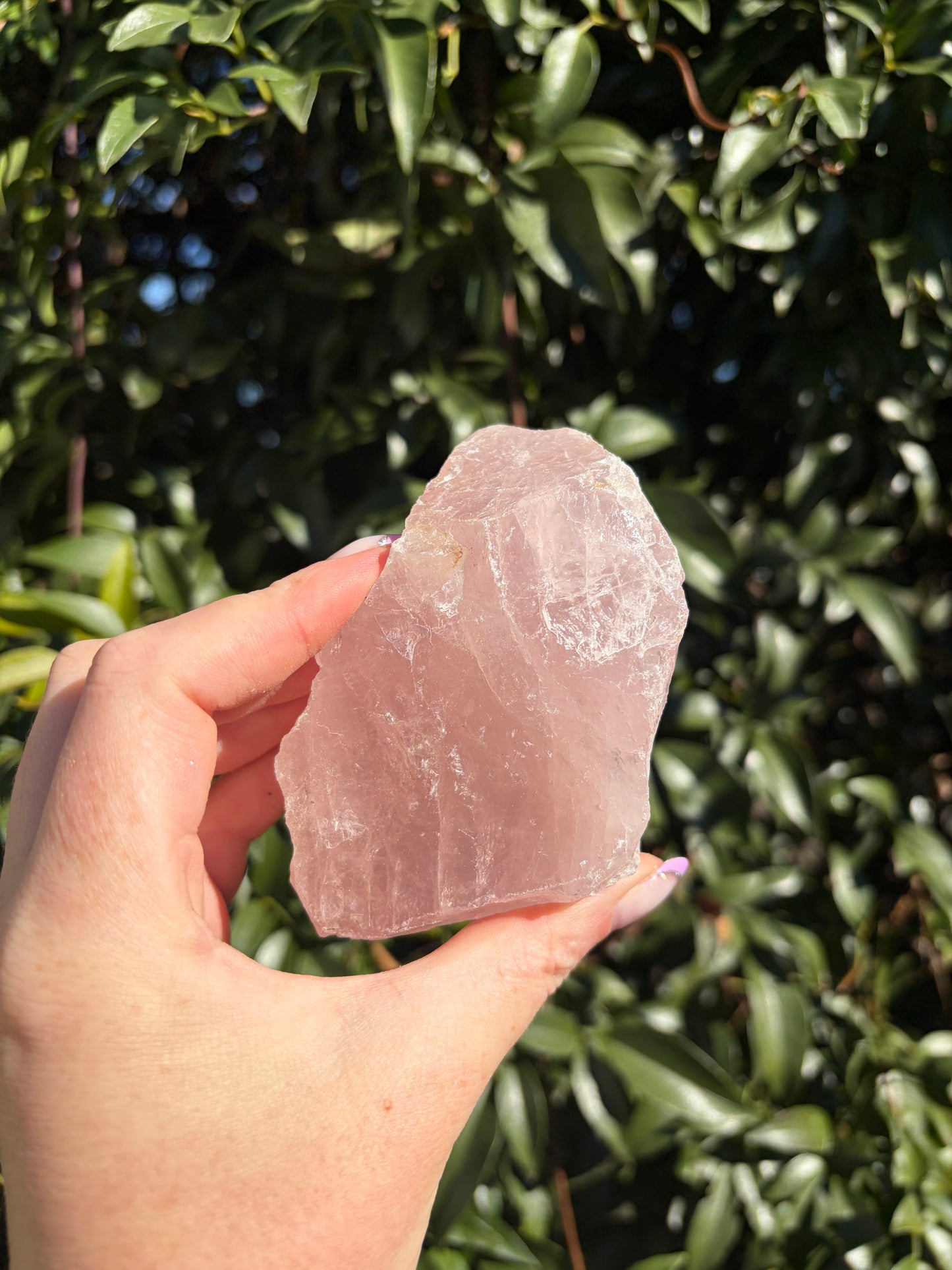 Rose Quartz Large Rough Piece E