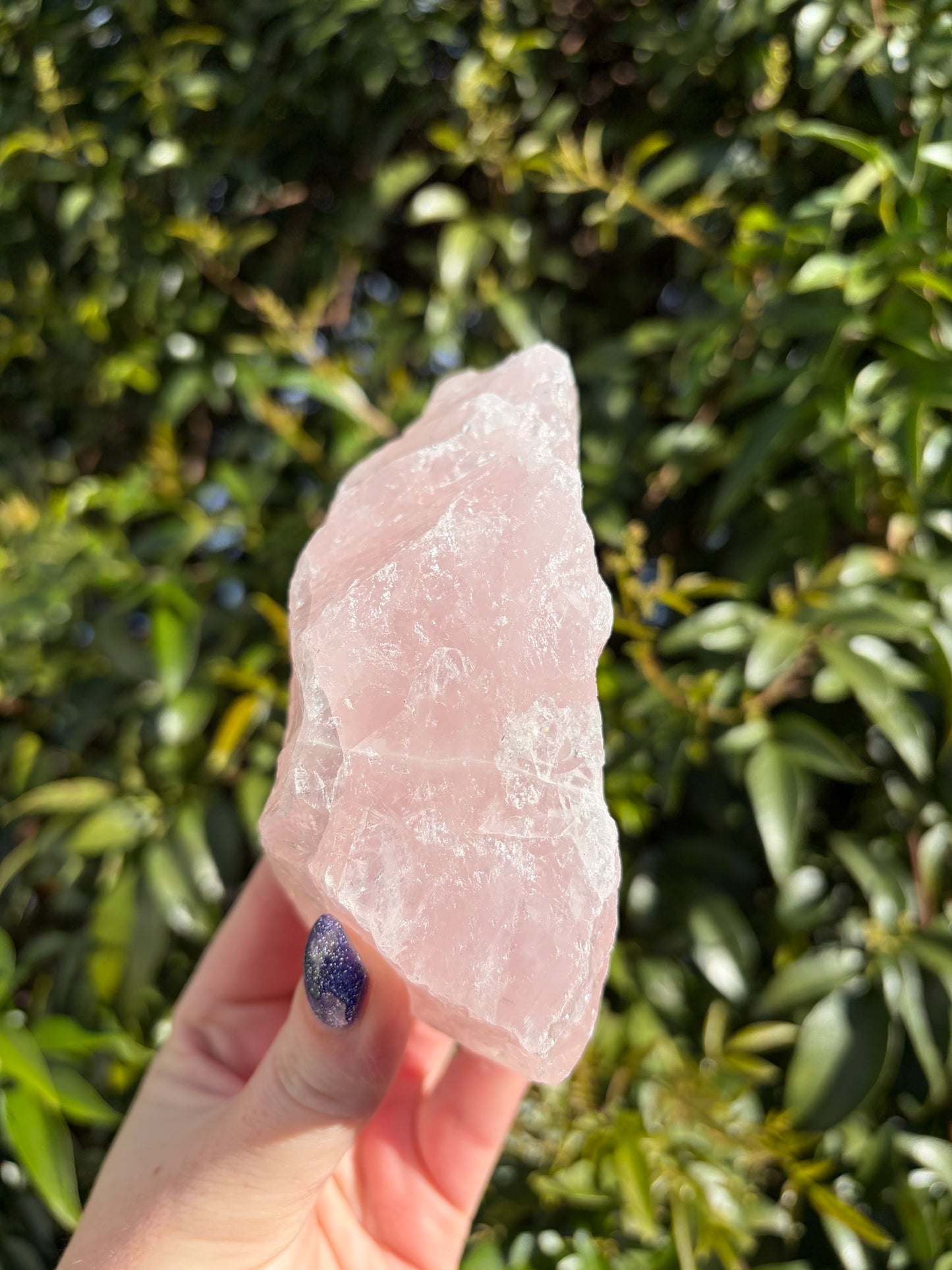 Rose Quartz Large Rough Piece F
