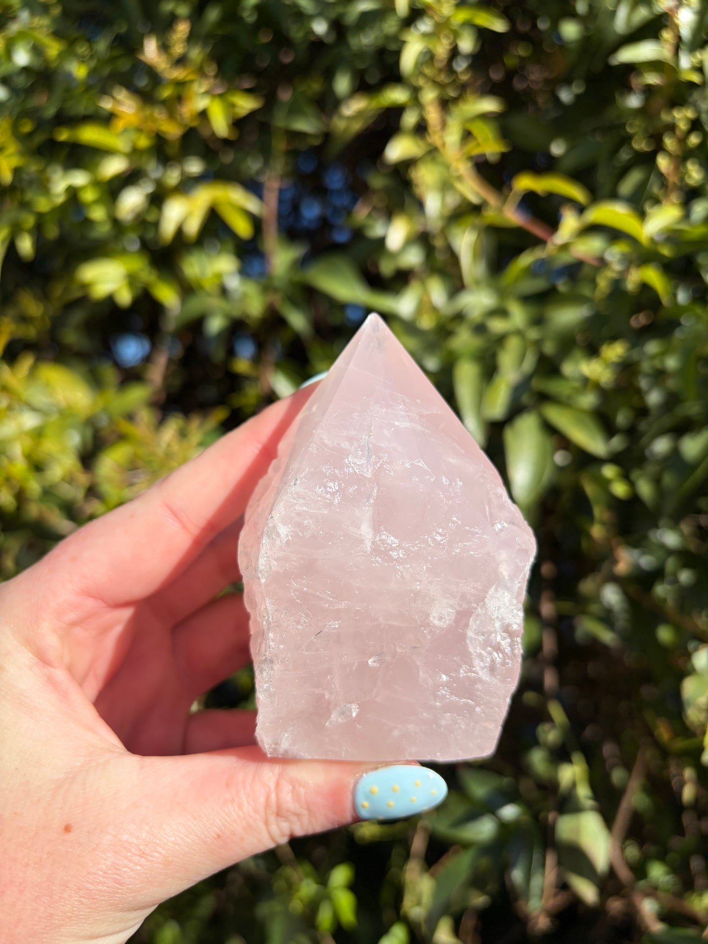 Rose Quartz Semi Polished Point A