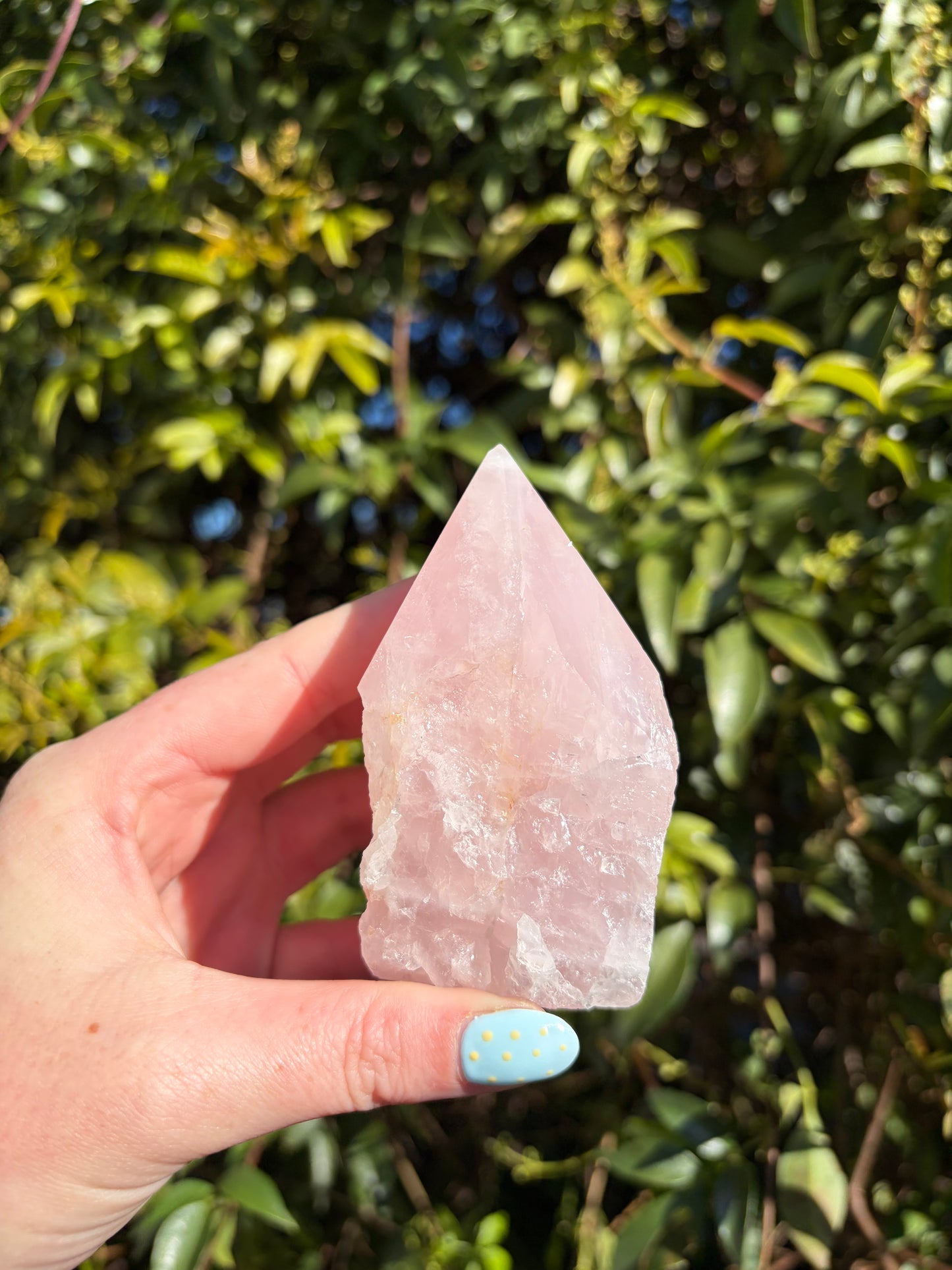 Rose Quartz Semi Polished Point B
