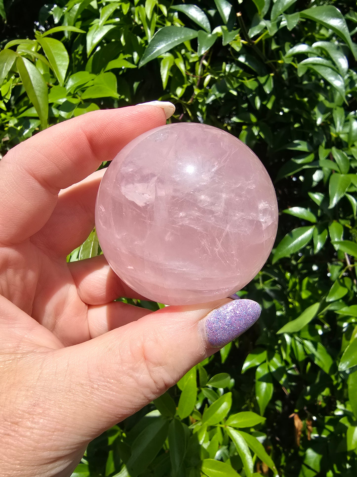 Rose Quartz Star Sphere A