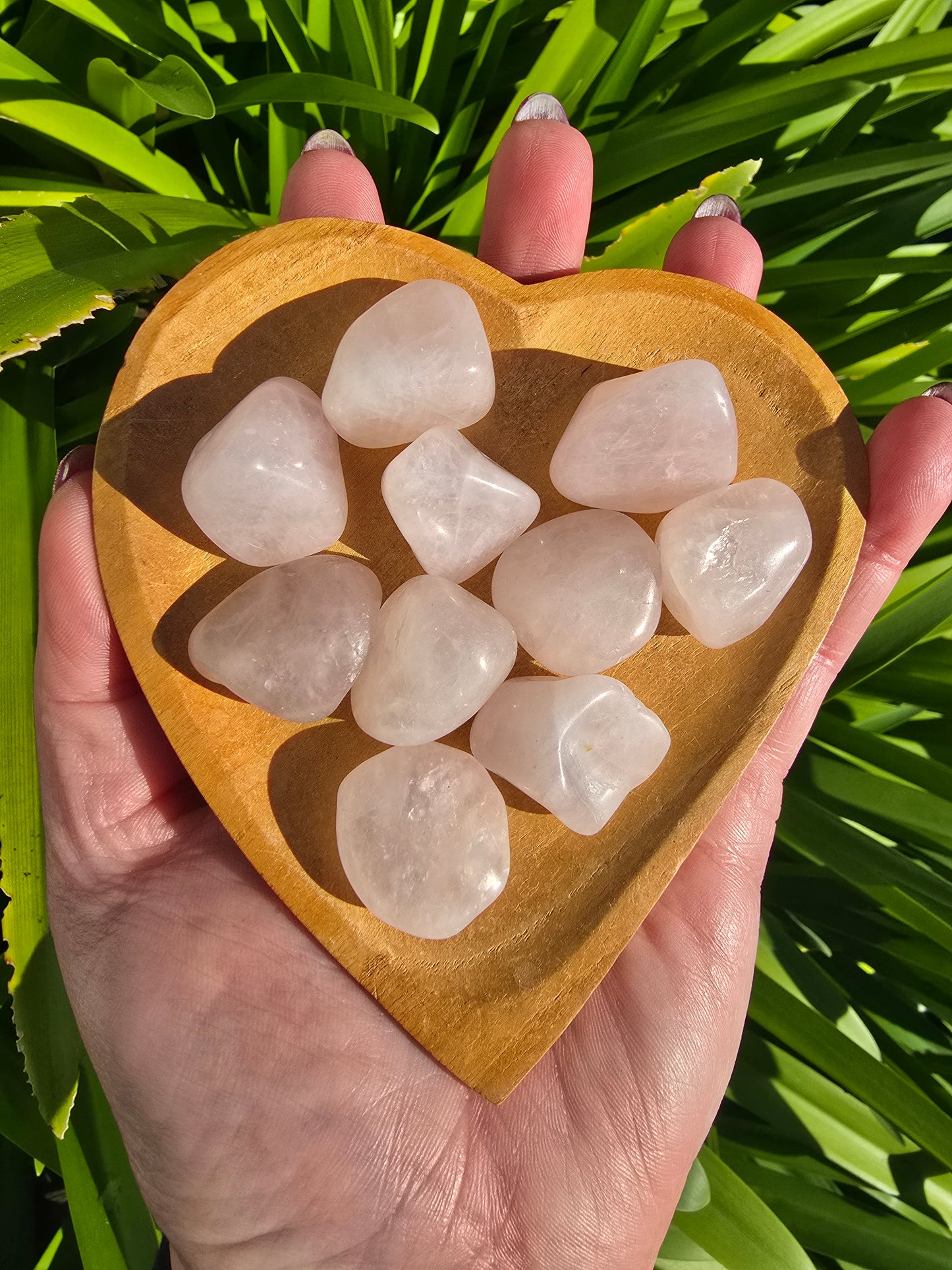 Rose Quartz Tumbled Stones 10 Pack Valued at $30