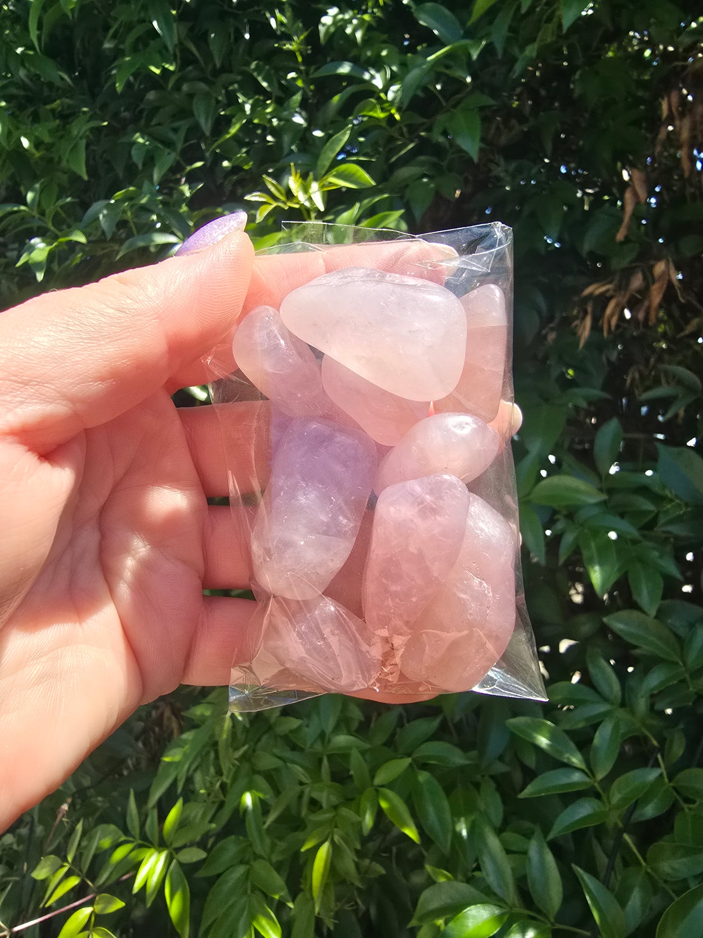 Rose Quartz Tumbled Stones 10 Pack Valued at $30