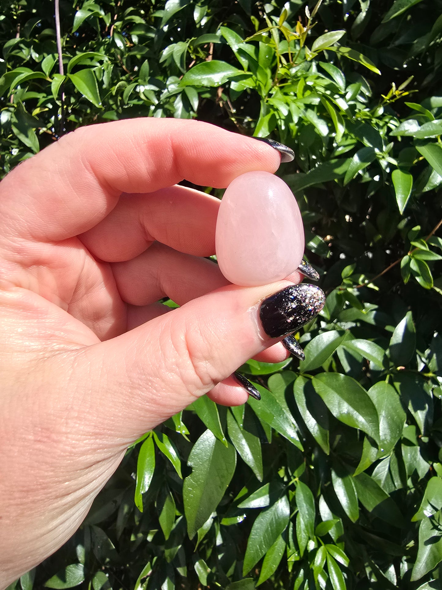 Rose Quartz Tumbled Stone