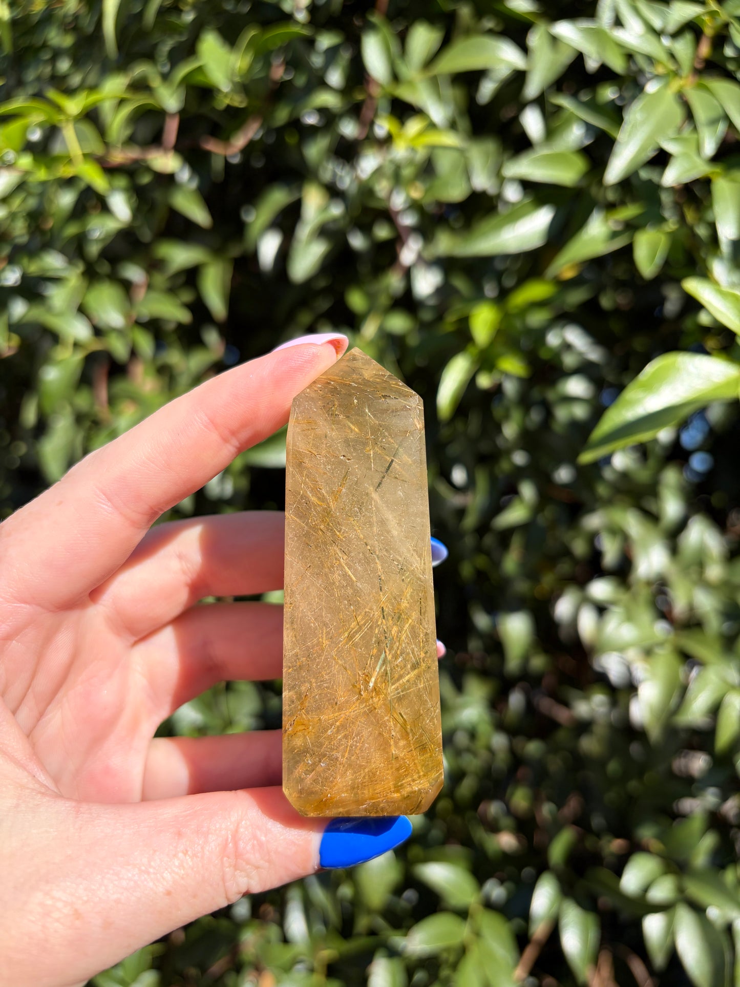 Rutilated Quartz Polished Point L
