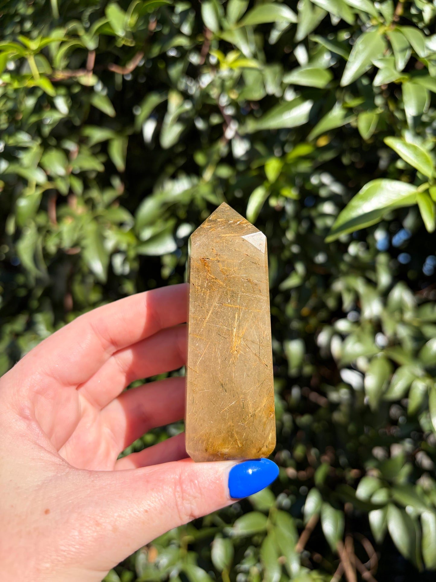 Rutilated Quartz Polished Point L