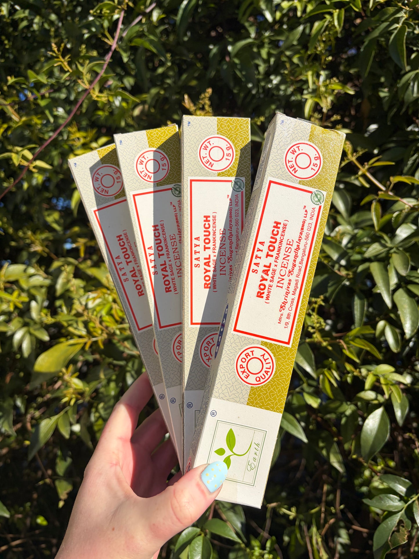Royal Touch | White Sage & Frankincense Incense Sticks