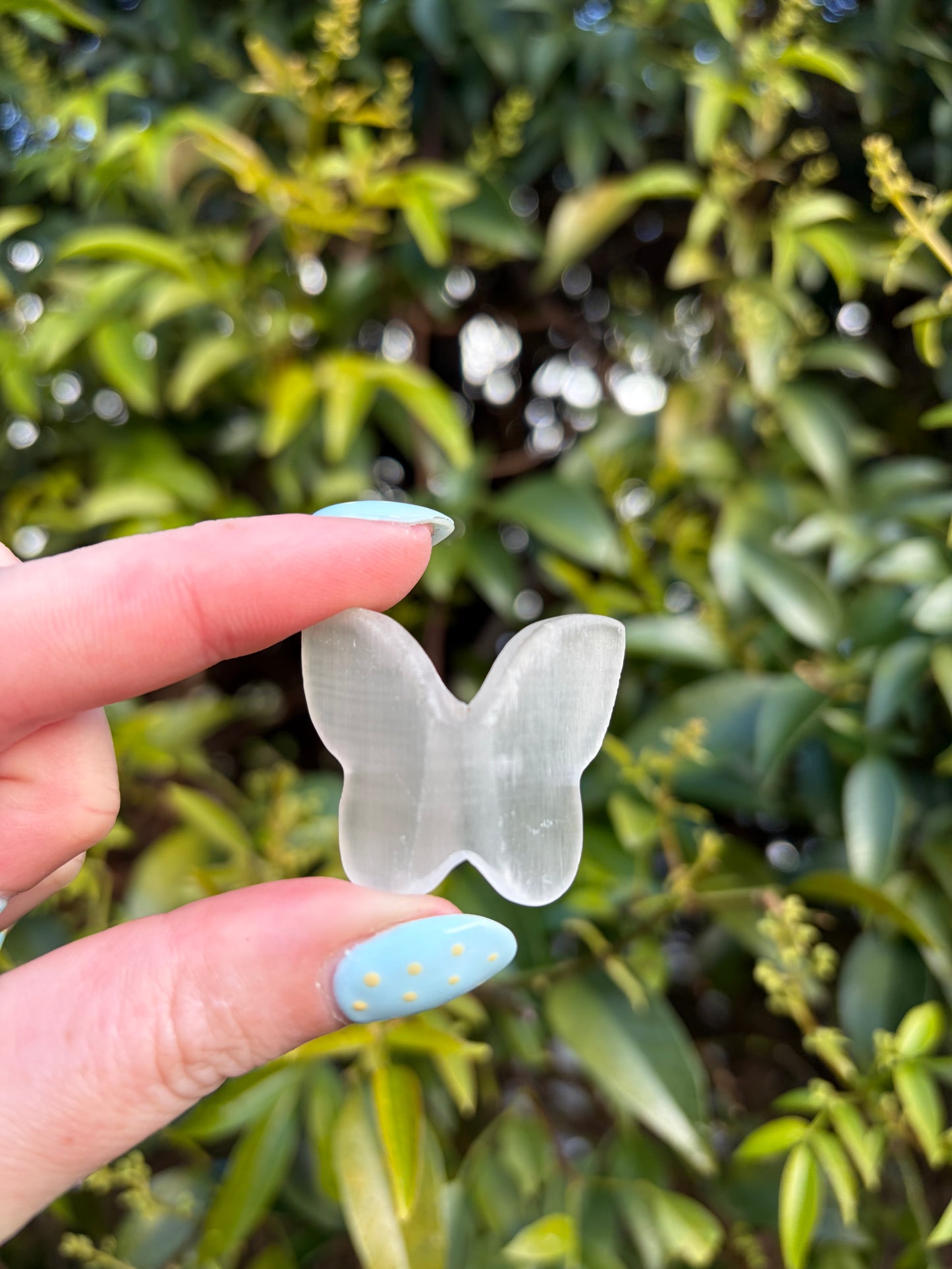 Selenite 3D Medium Butterfly