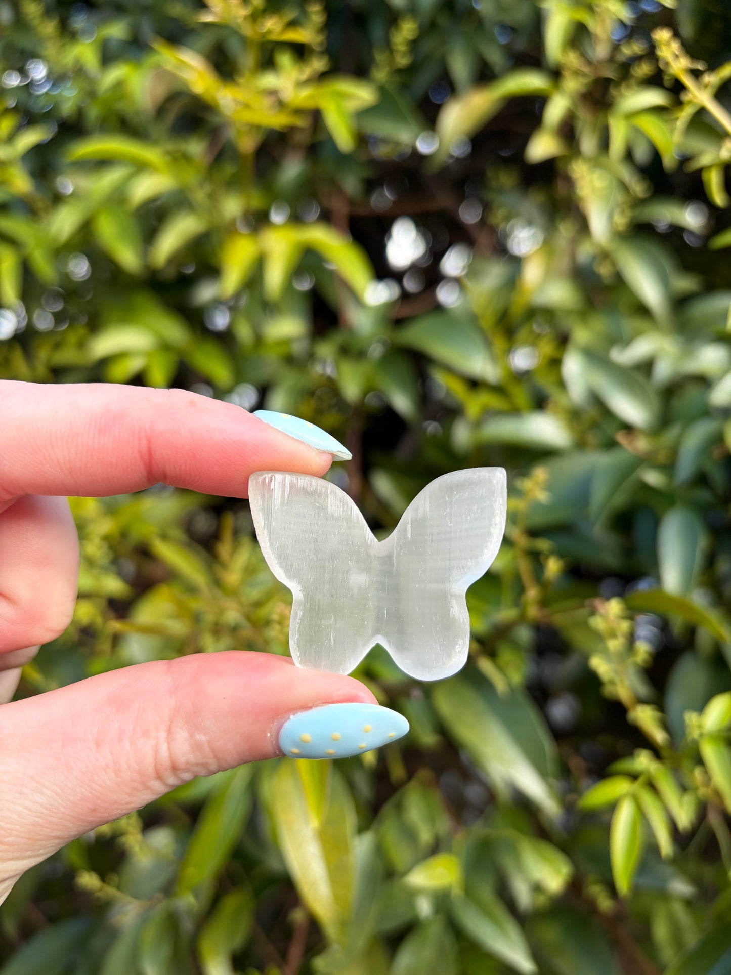 Selenite 3D Medium Butterfly
