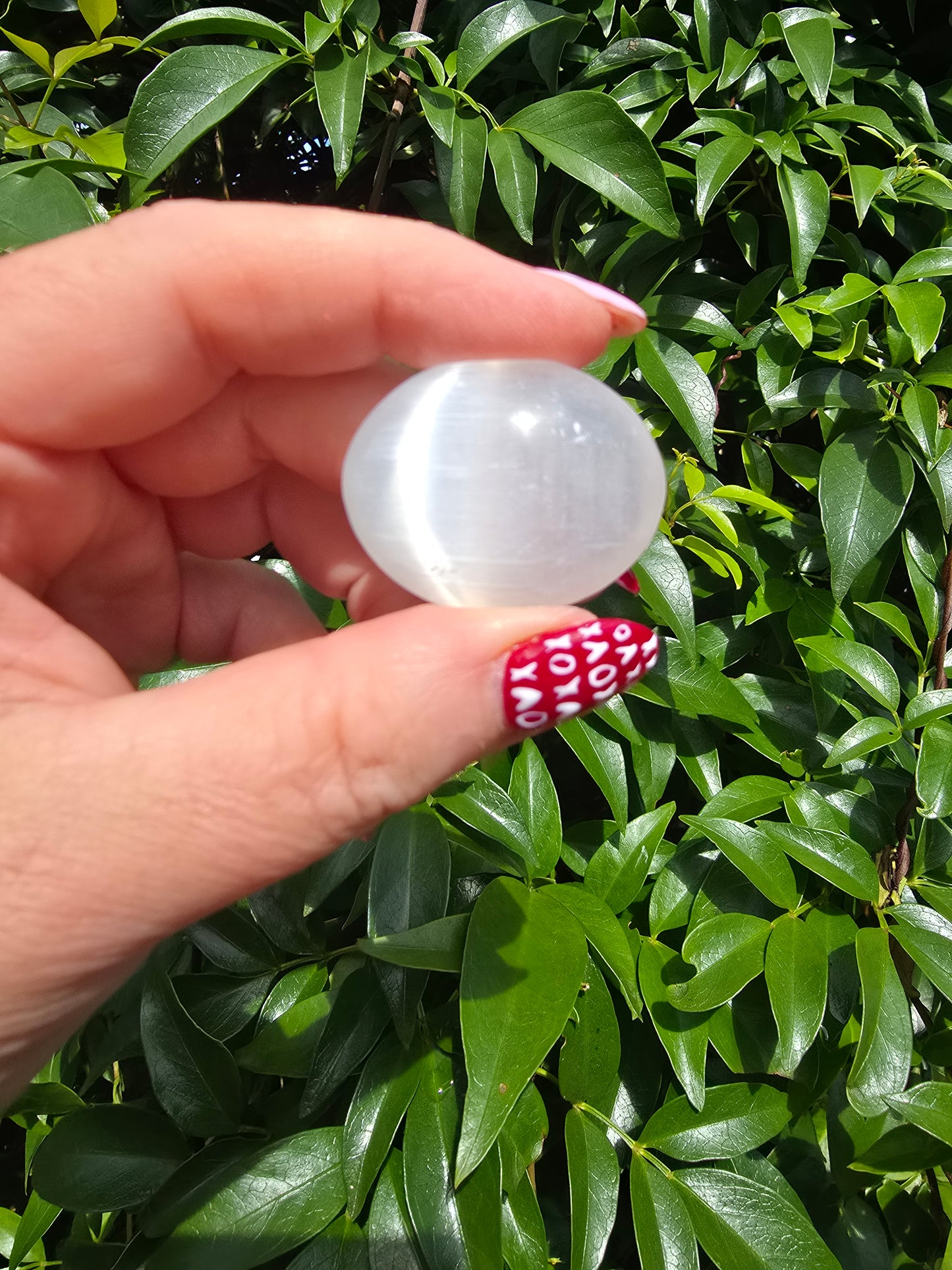 Selenite Mini Palm Stone | SUCCESS