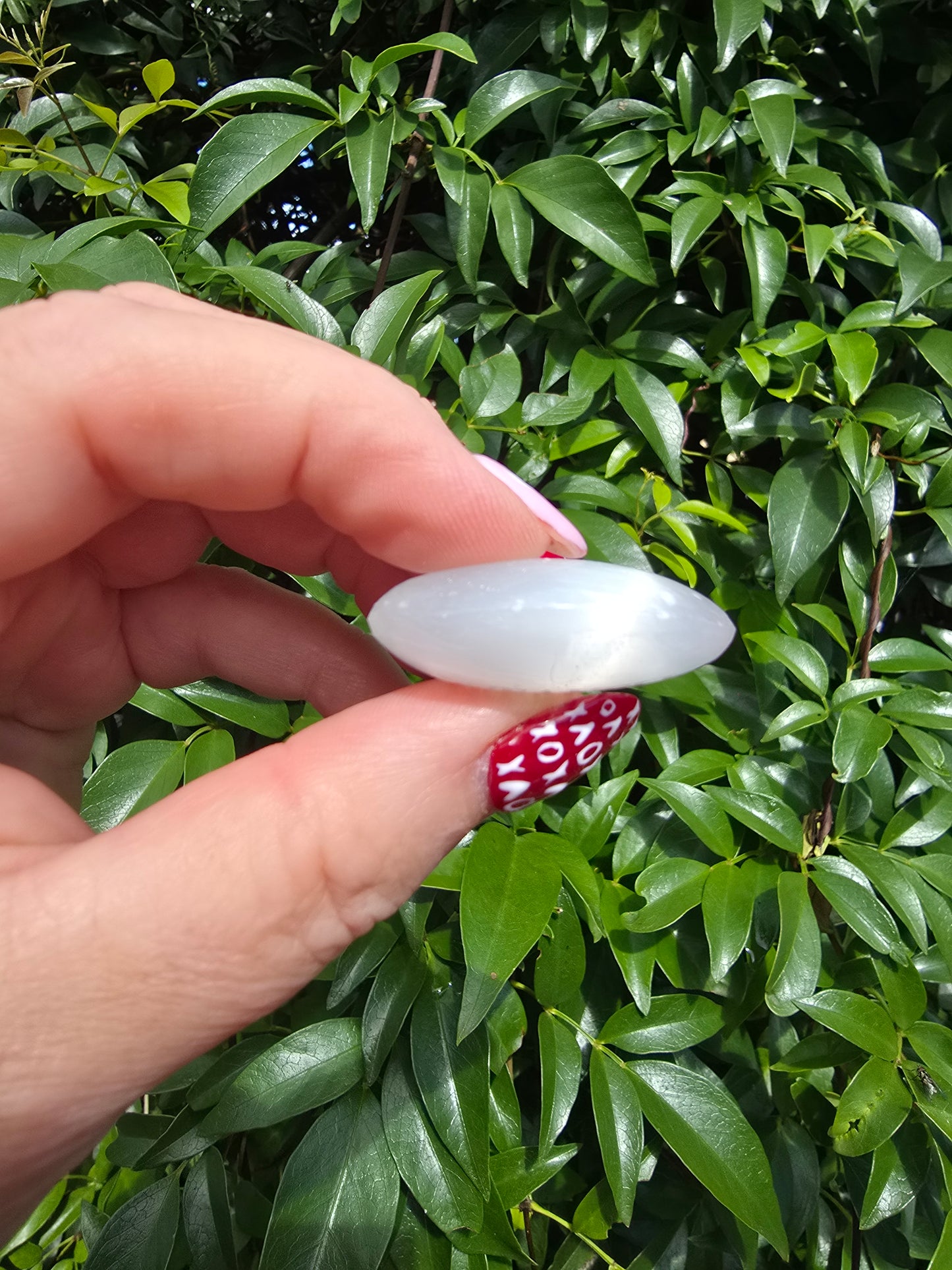 Selenite Mini Palm Stone | WEALTH
