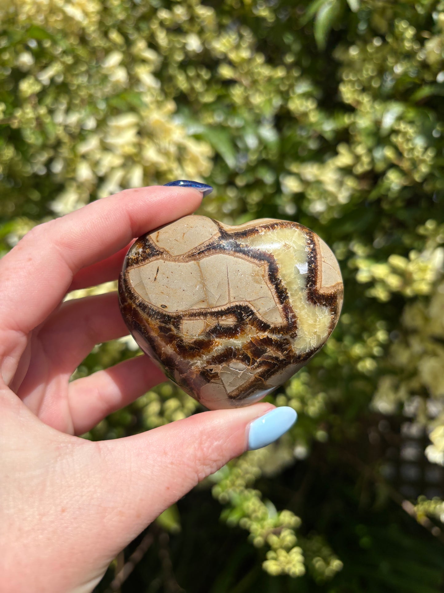 Septarian Polished Heart A
