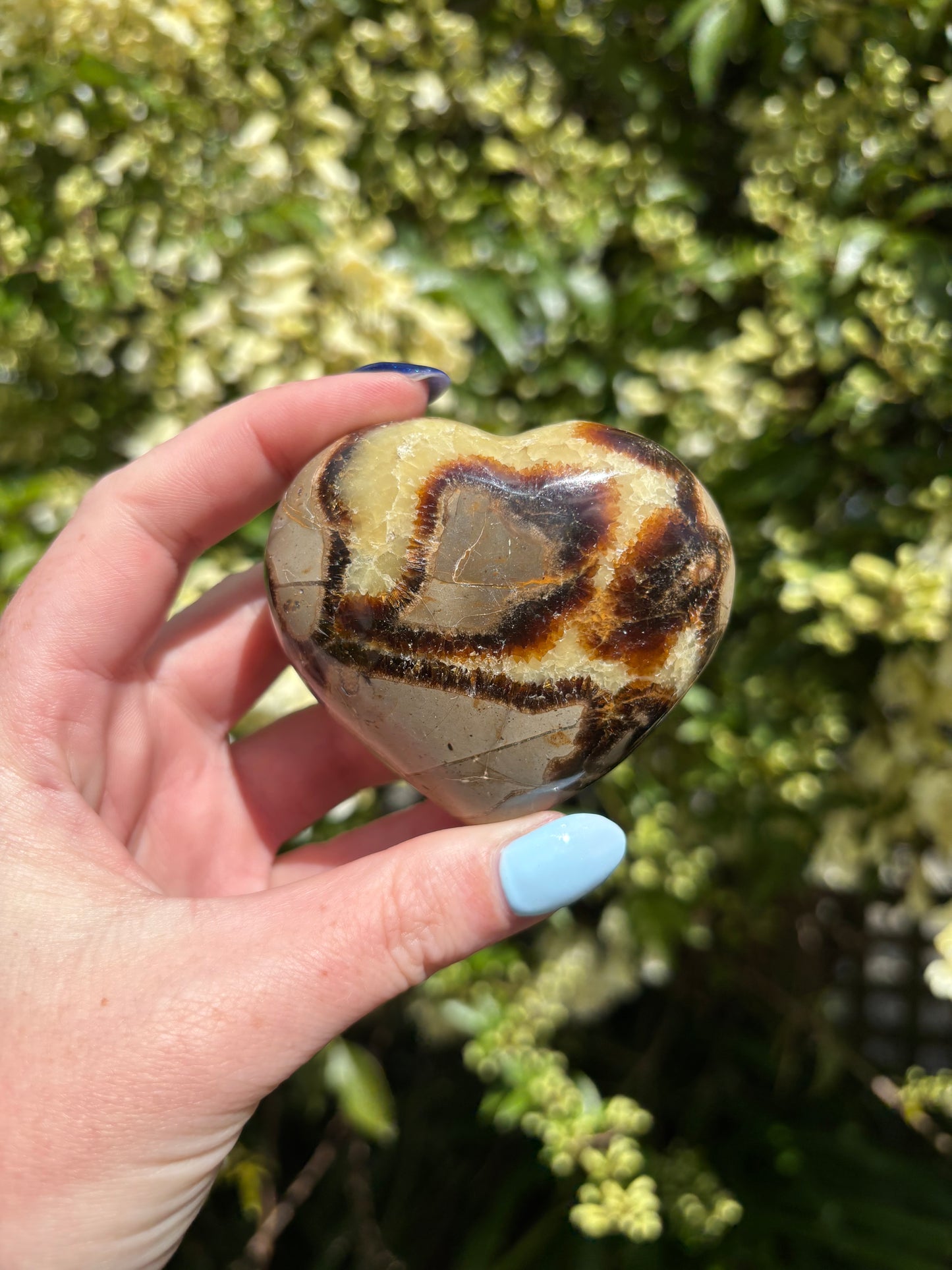 Septarian Polished Heart A