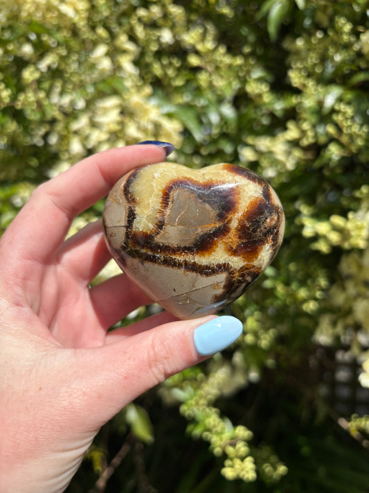 Septarian Polished Heart A