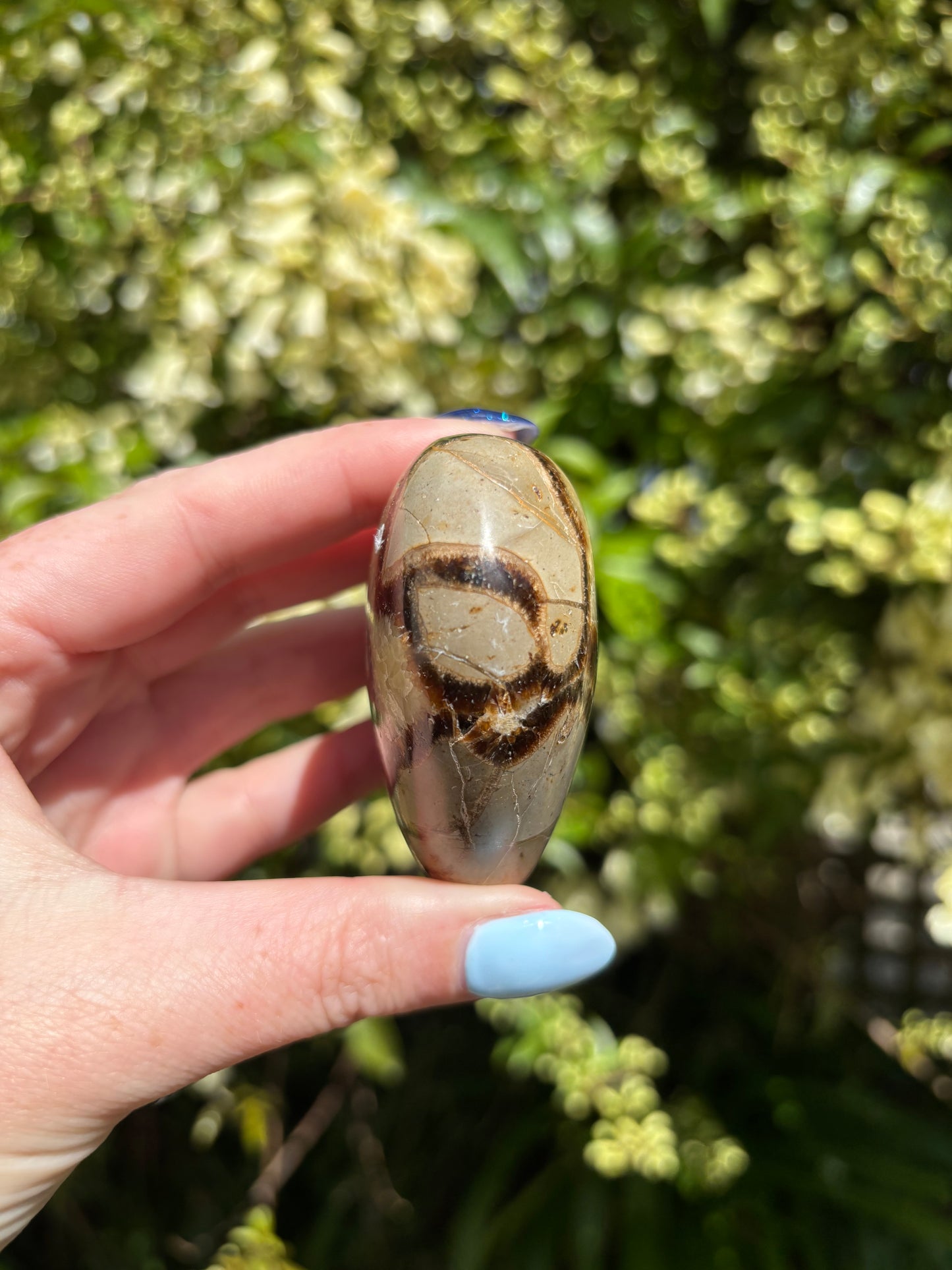 Septarian Polished Heart A