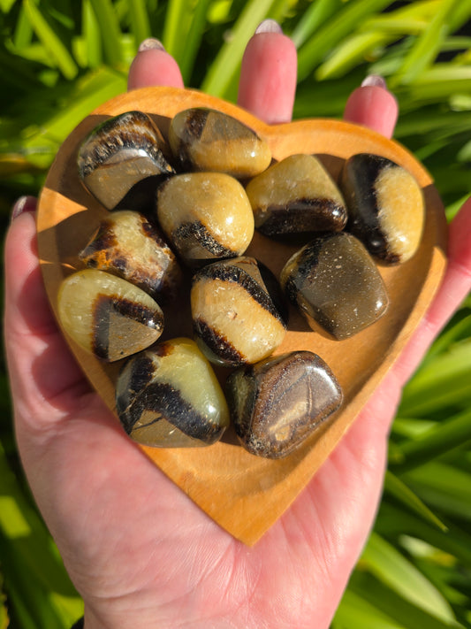 Septarian Tumbled Stone Large