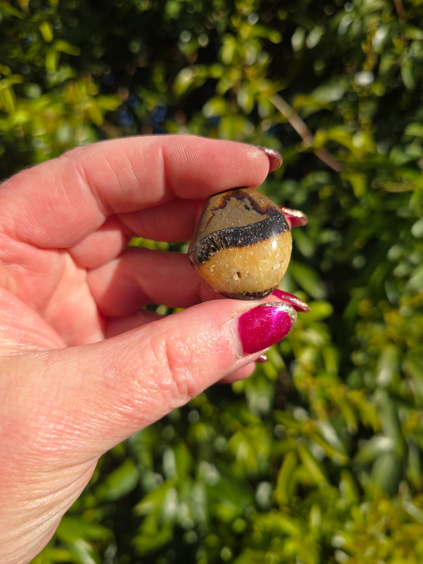 Septarian Tumbled Stone Large