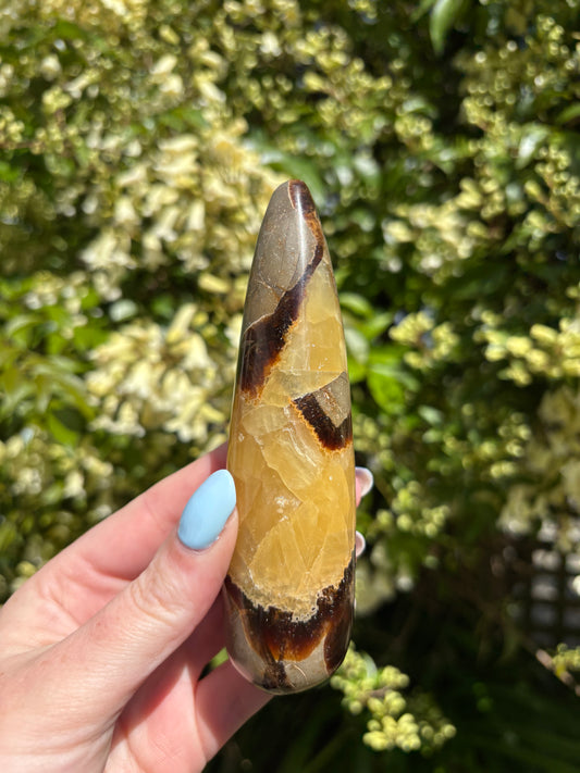 Septarian Polished Wand A