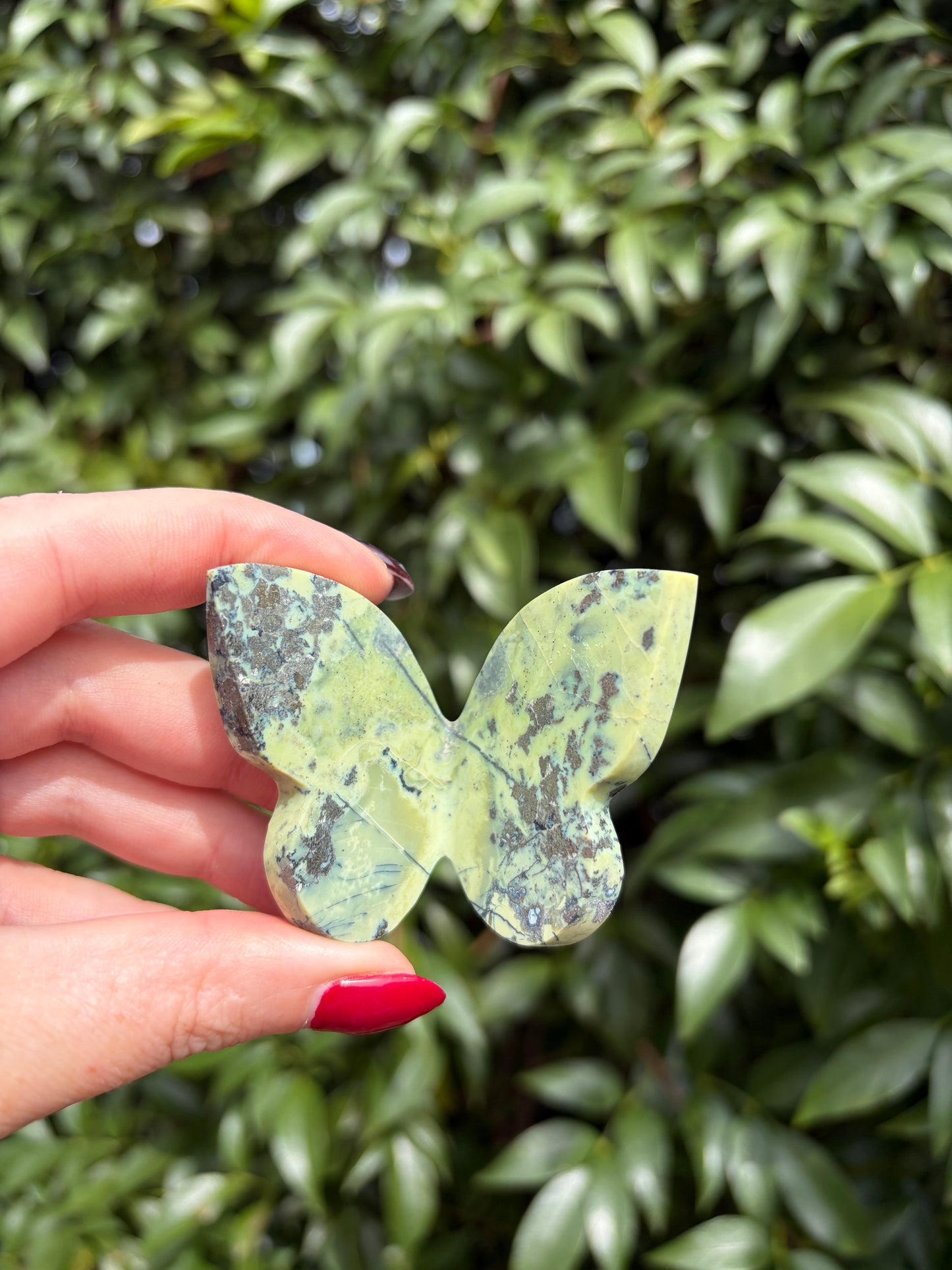 Serpentine & Pyrite 3D Large Butterfly A