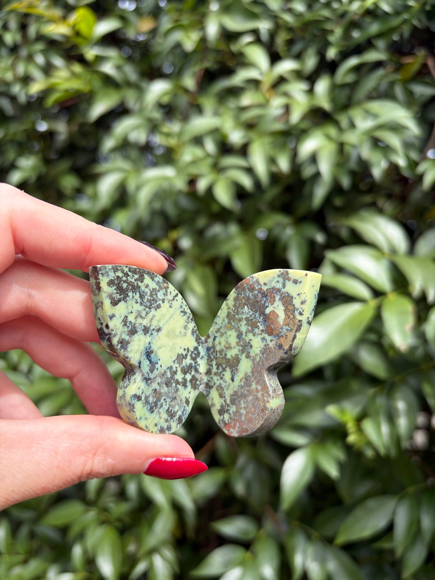 Serpentine & Pyrite 3D Large Butterfly B