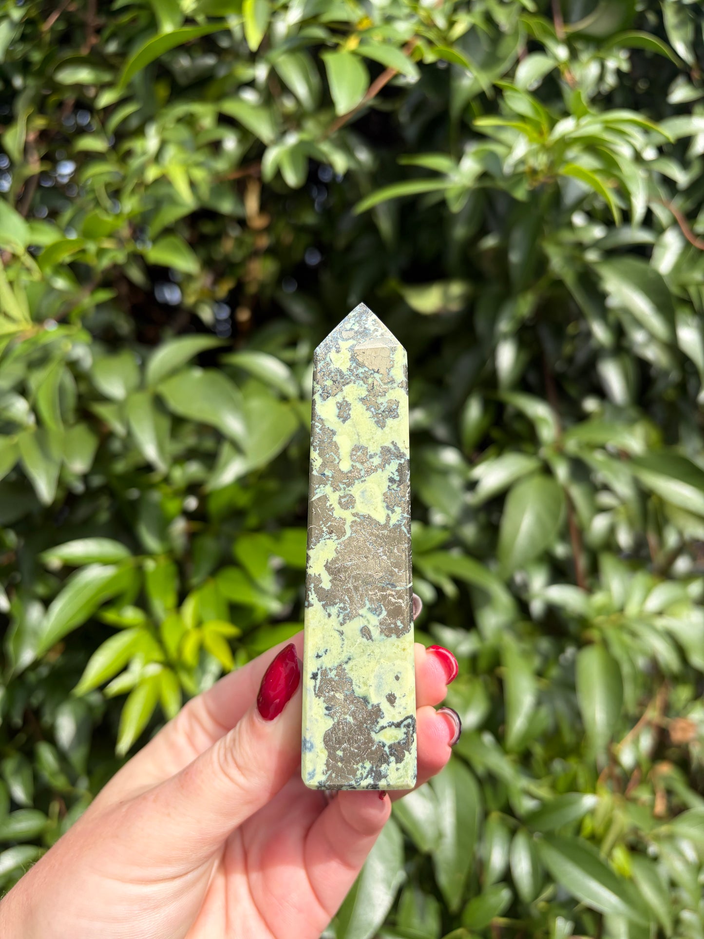 Serpentine & Pyrite Point B