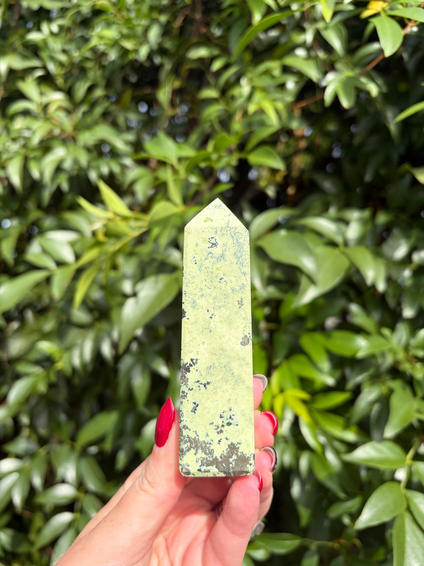 Serpentine & Pyrite Point C