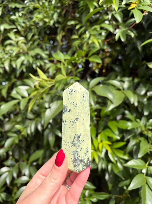 Serpentine & Pyrite Point C