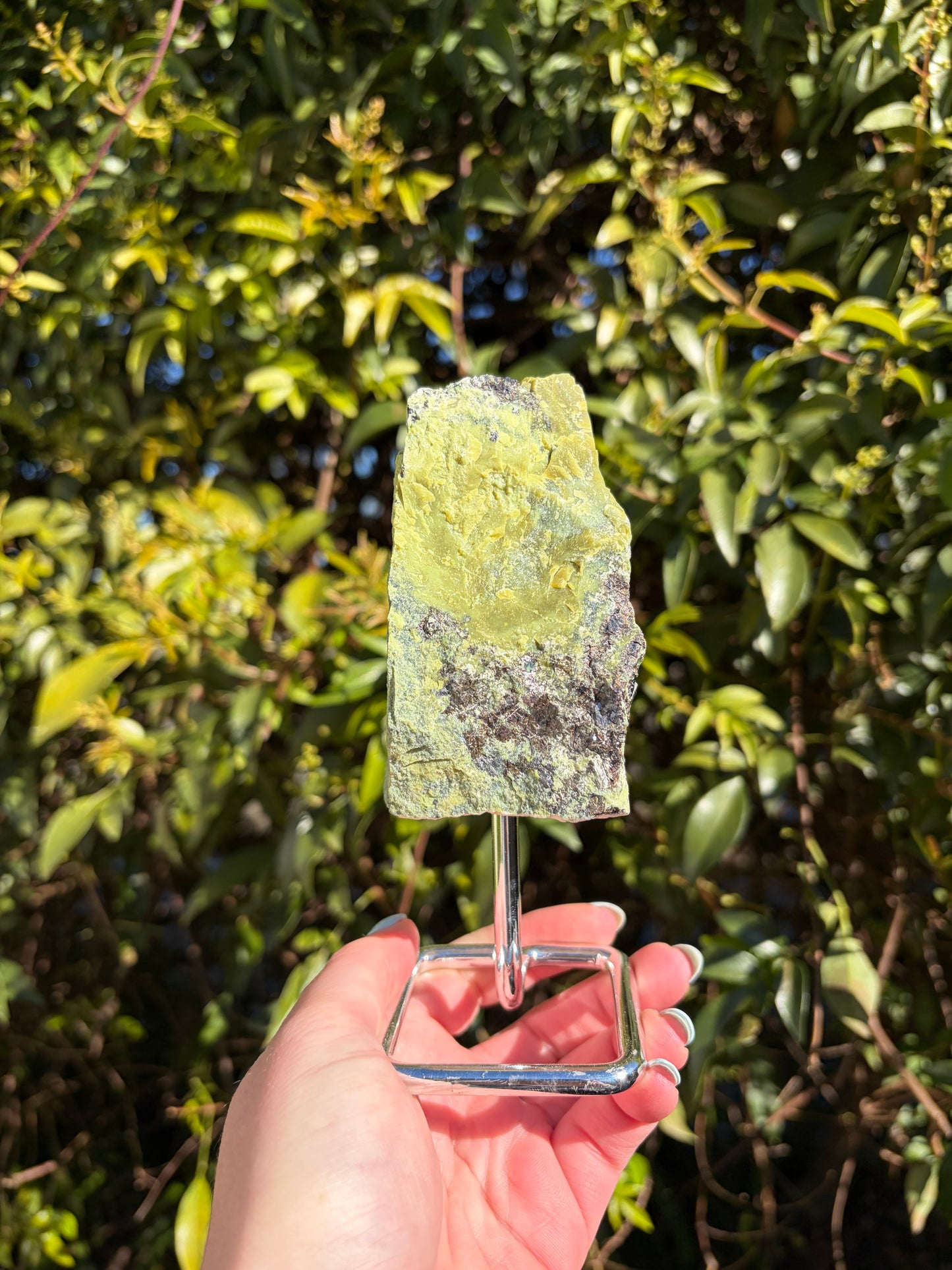 Serpentine & Pyrite Rough Piece On Metal Stand A