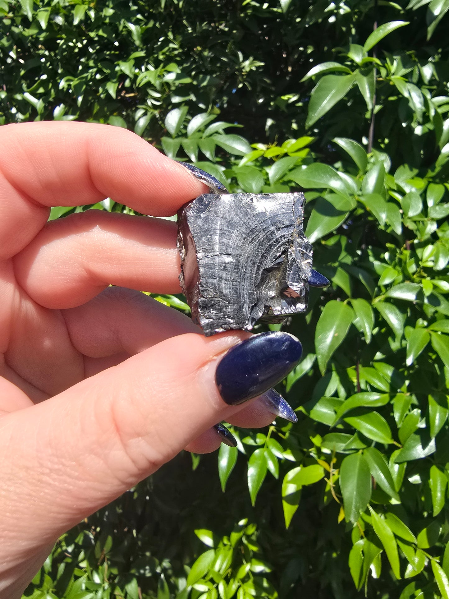 Elite Shungite Rough Piece B