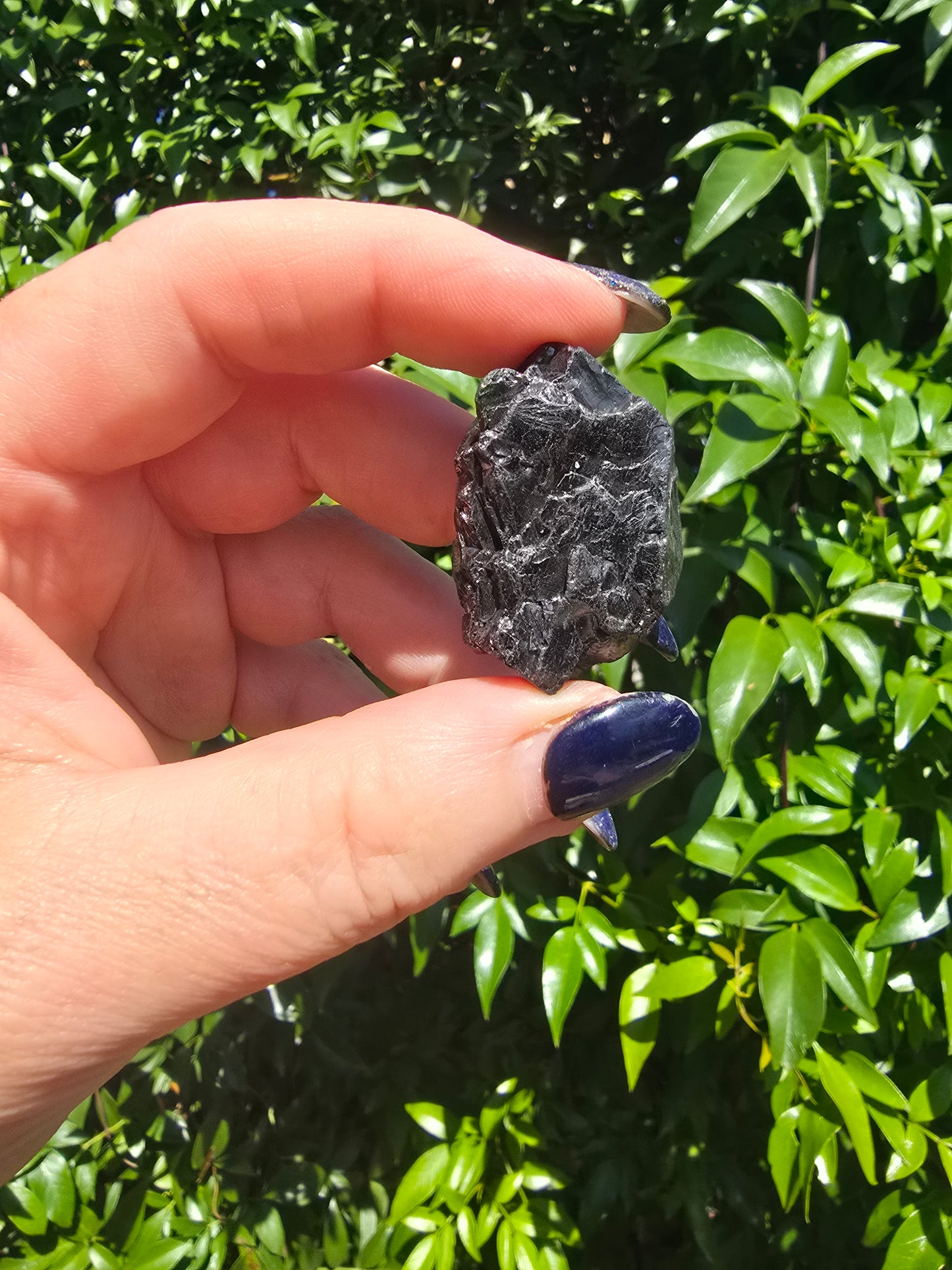 Elite Shungite Rough Piece E