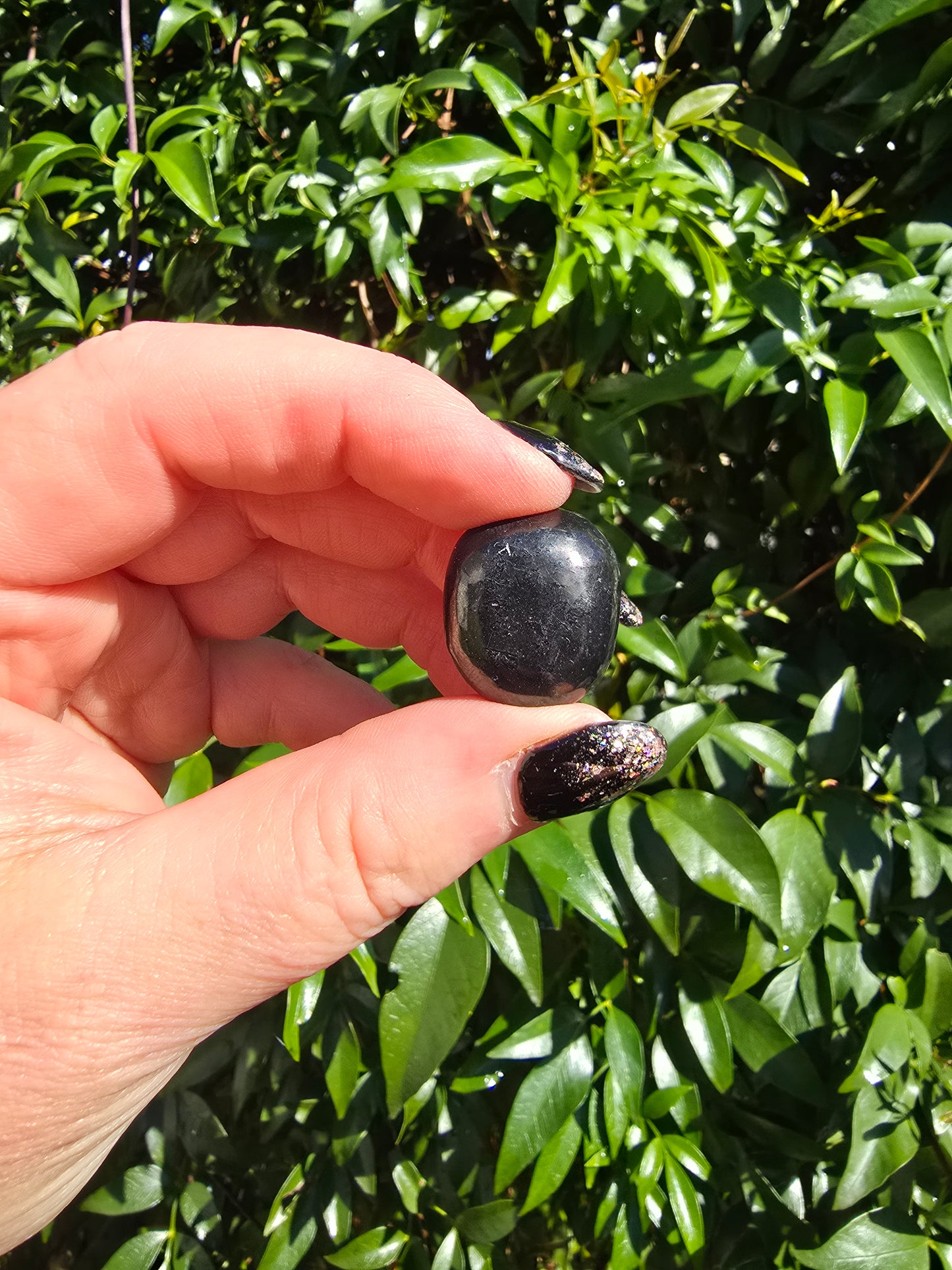 Shungite Small Tumbled Stone