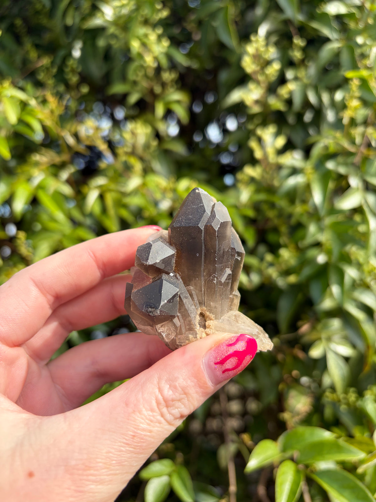 Smoky Quartz Cluster D