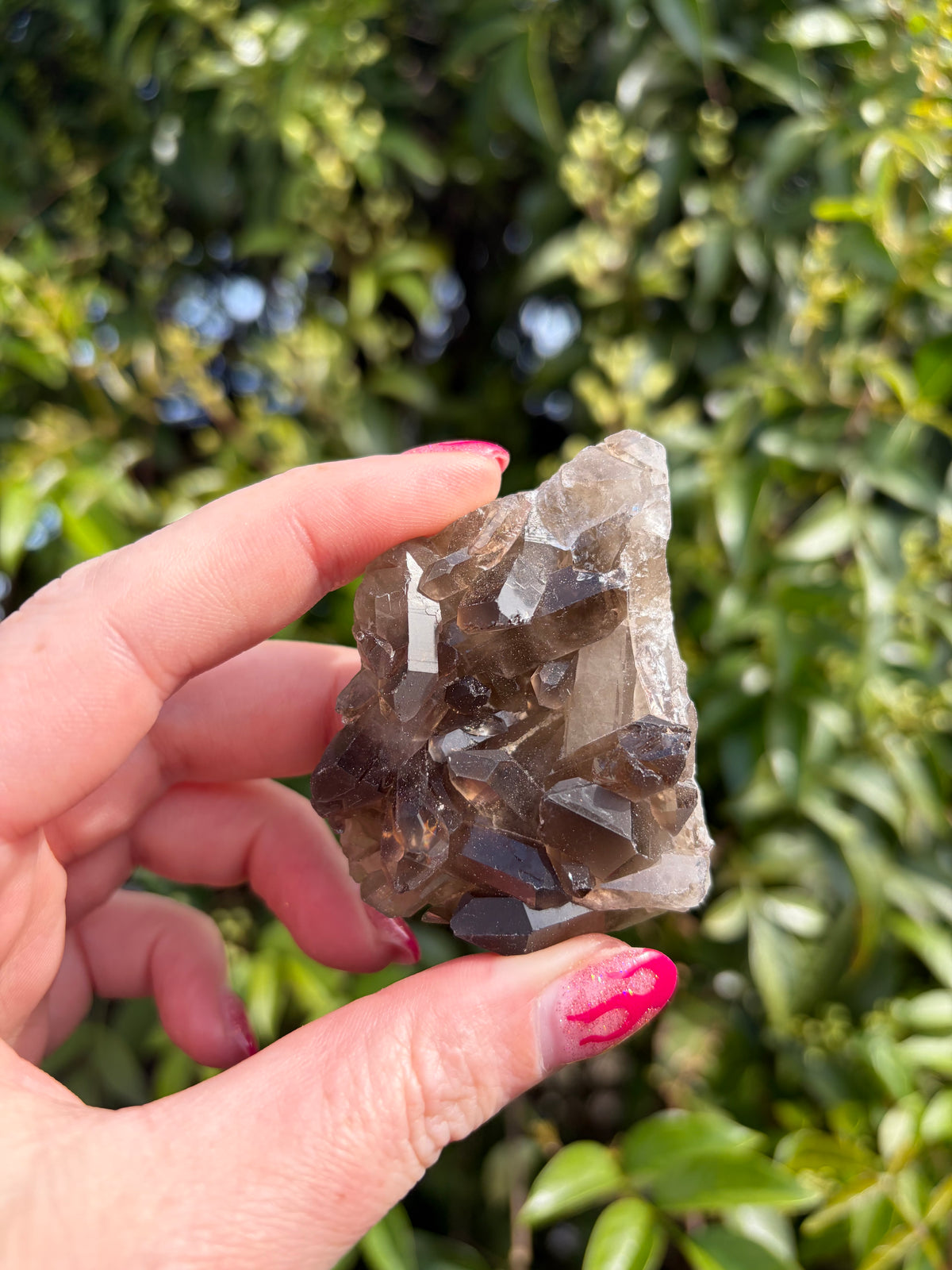 Smoky Quartz Cluster E