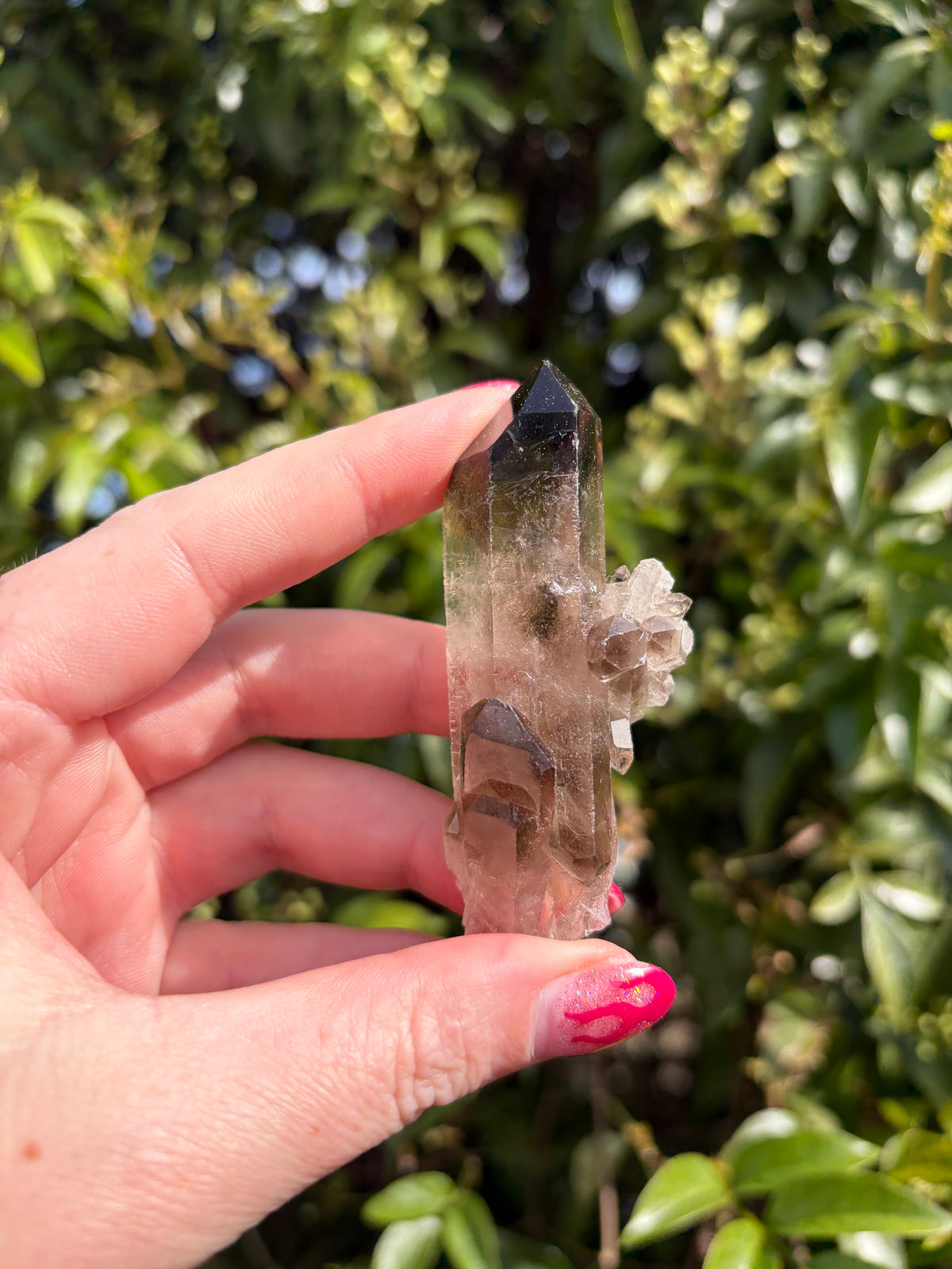 Smoky Quartz Cluster F