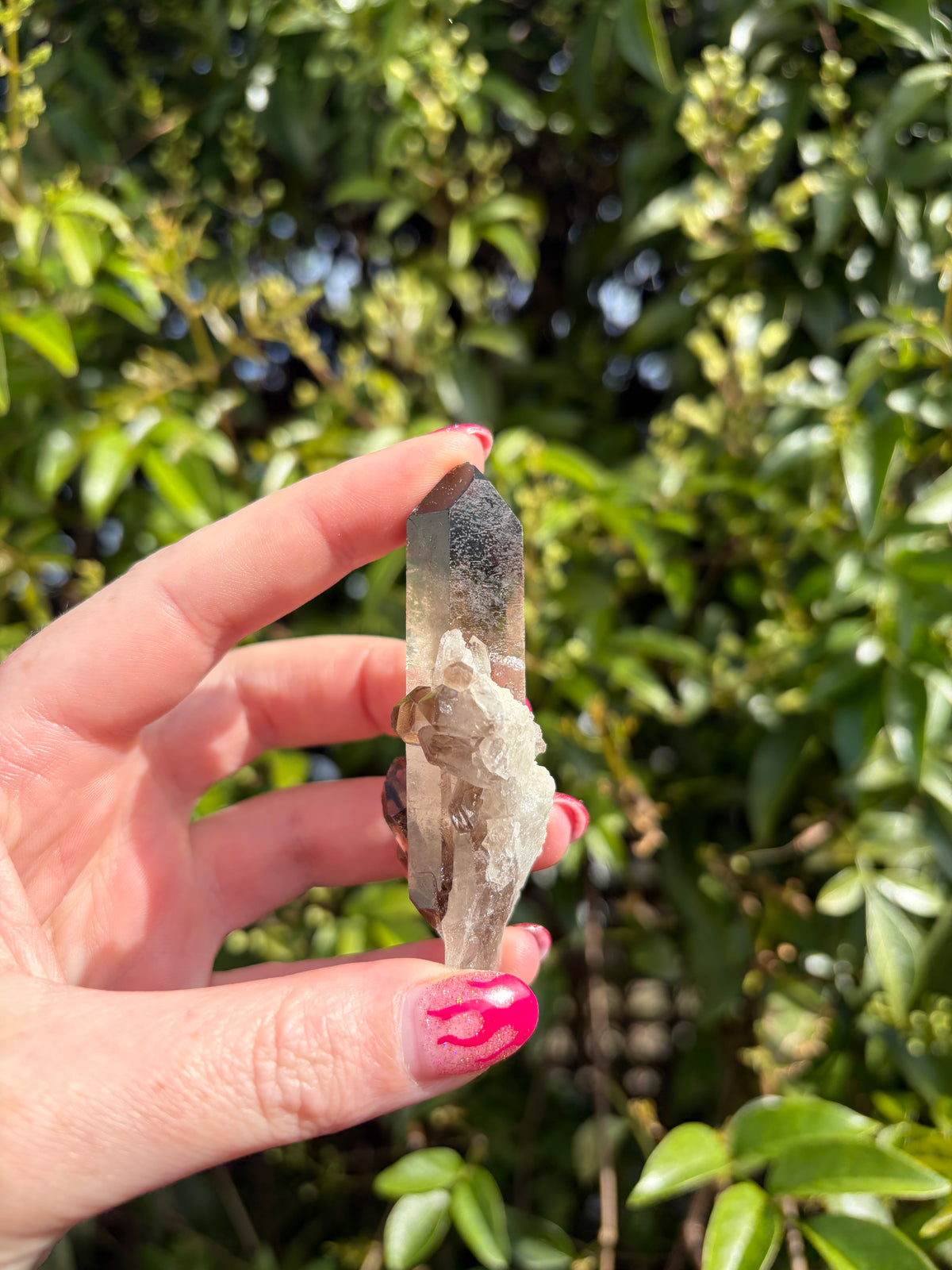 Smoky Quartz Cluster F