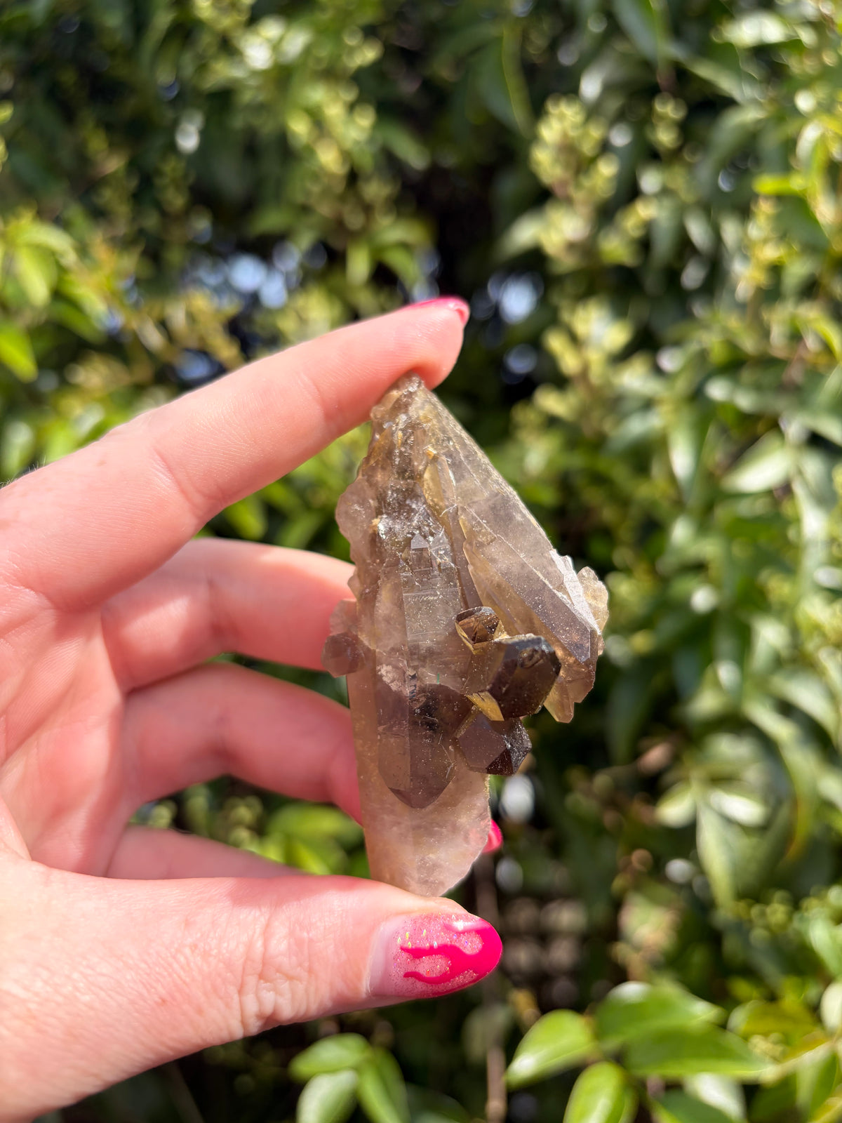 Smoky Quartz Cluster J