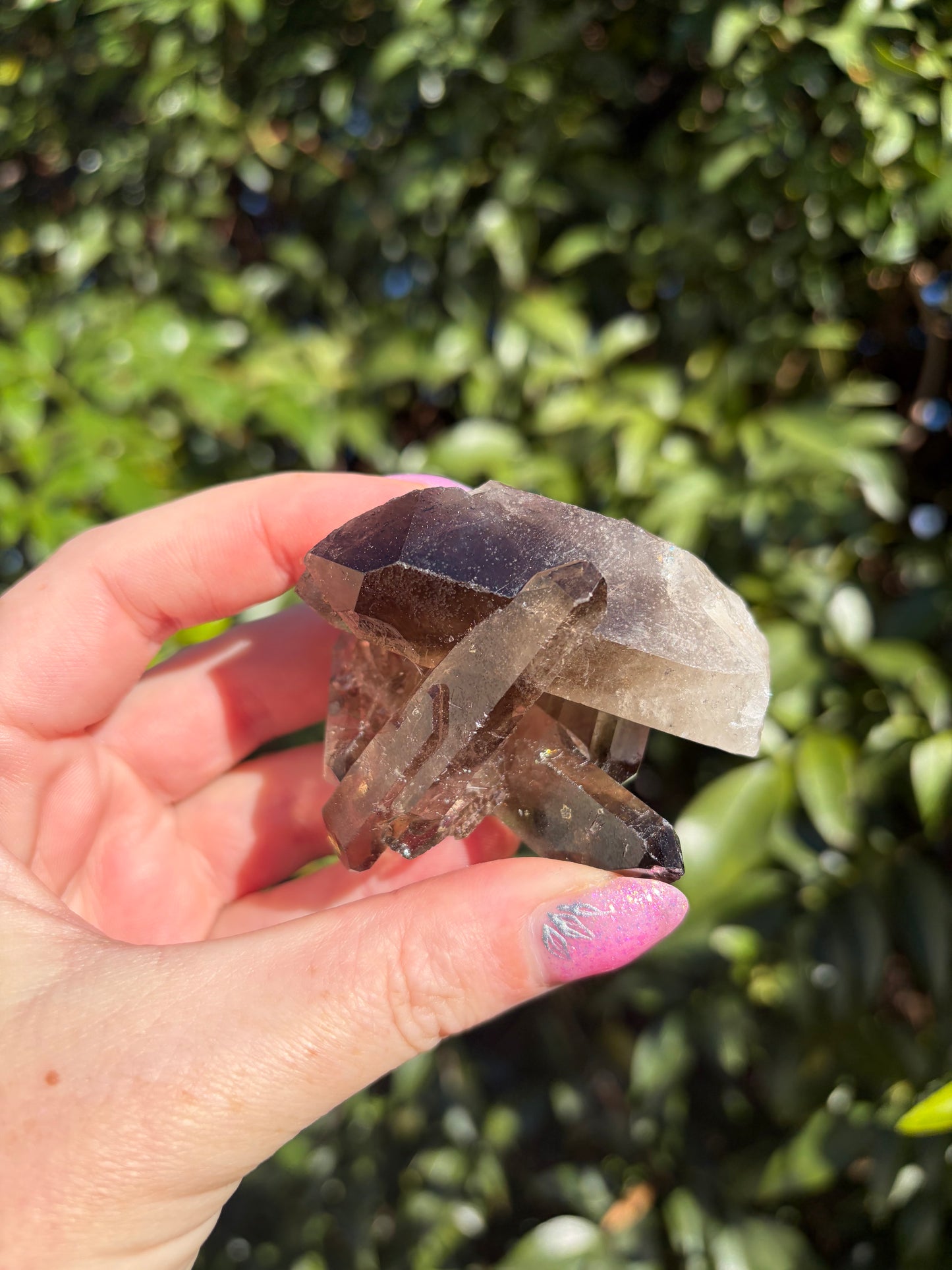 Smoky Quartz Cluster A