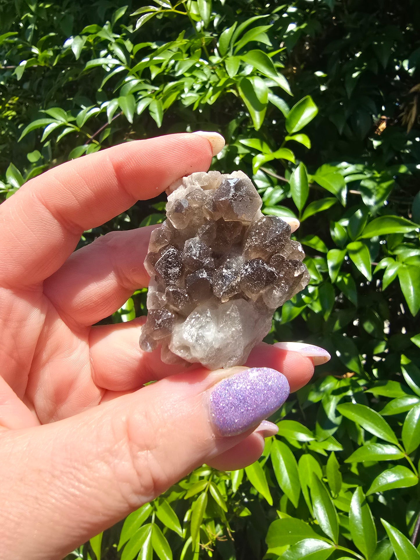 Smoky Quartz Cluster B