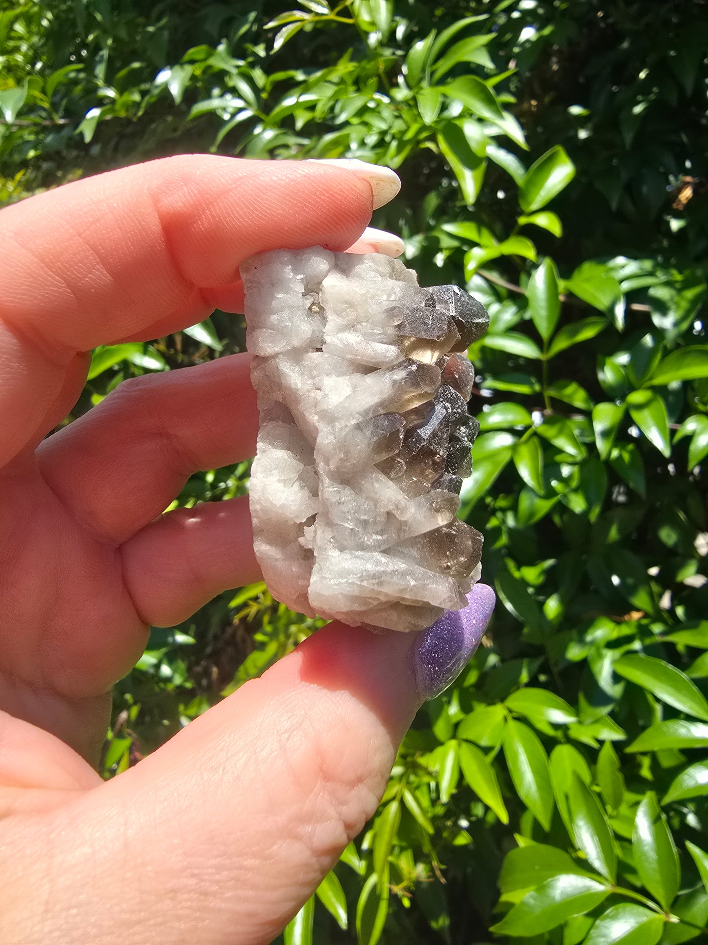 Smoky Quartz Cluster B