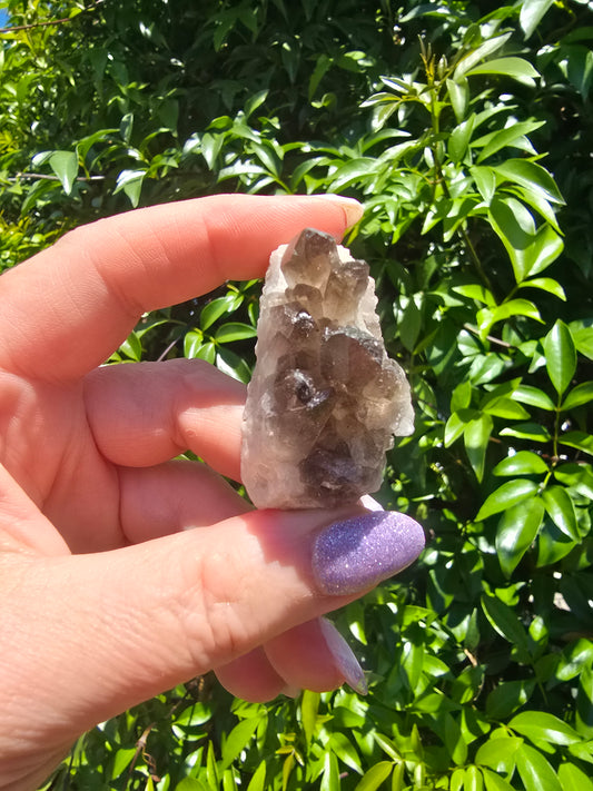 Smoky Quartz Cluster C