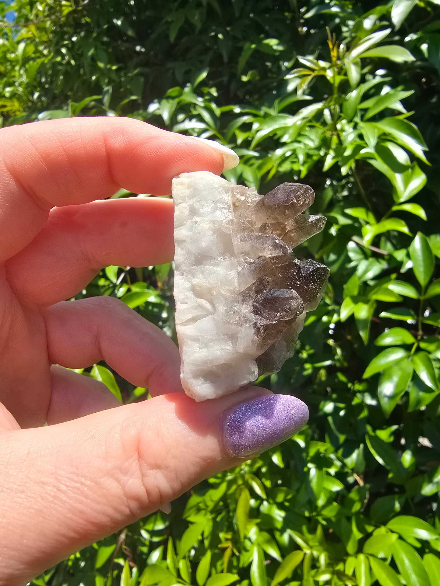 Smoky Quartz Cluster C