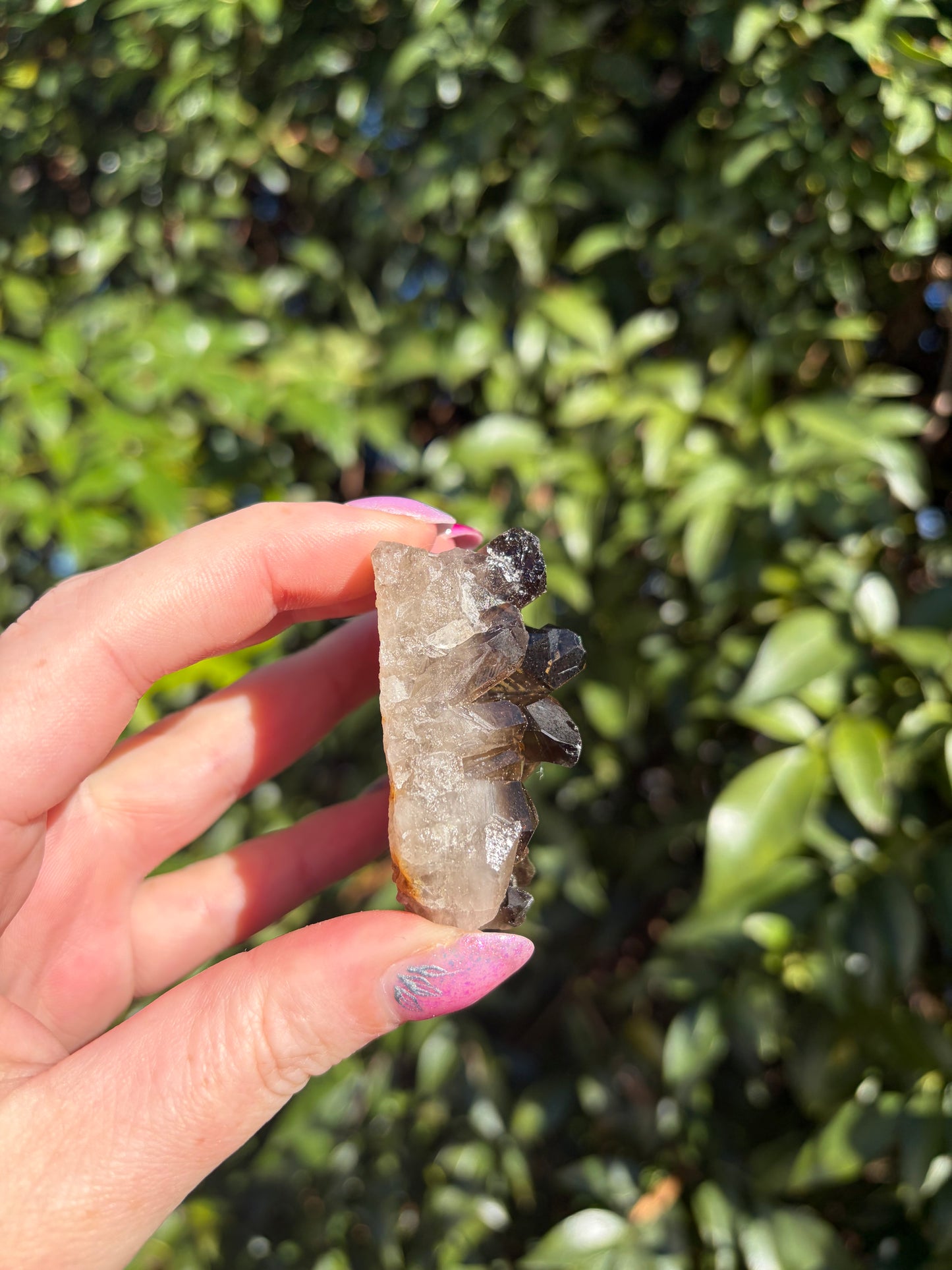 Smoky Quartz Cluster D