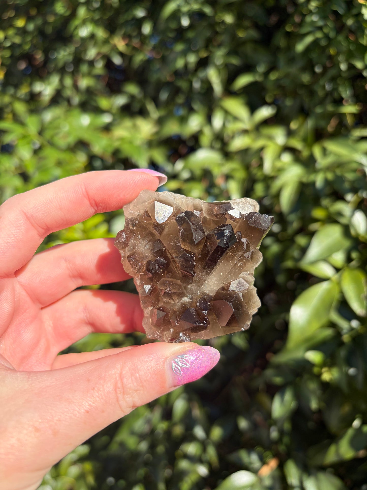 Smoky Quartz Cluster D