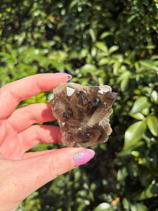 Smoky Quartz Cluster D